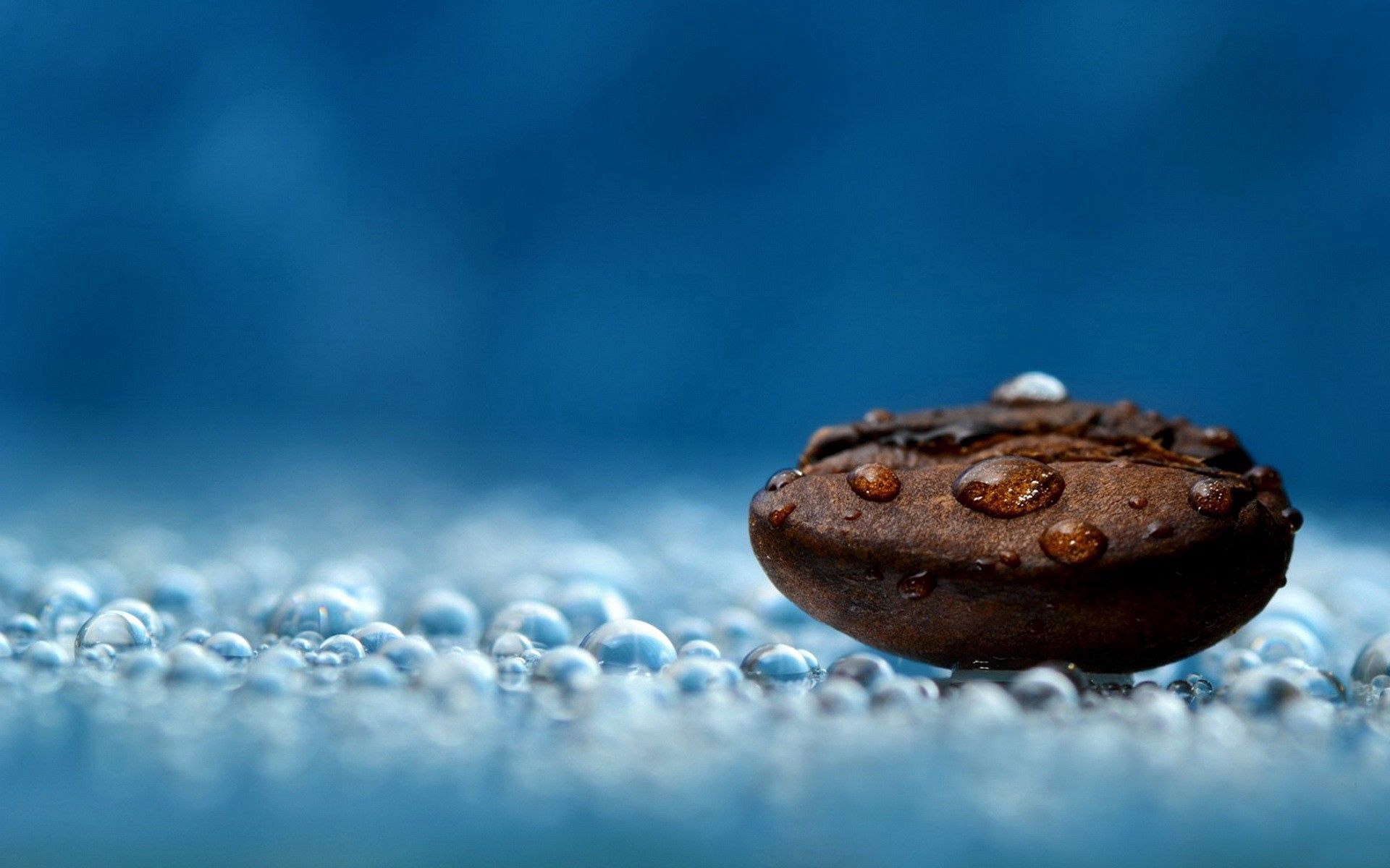 water, drops, macro, wet, liquid, coffee beans, humid