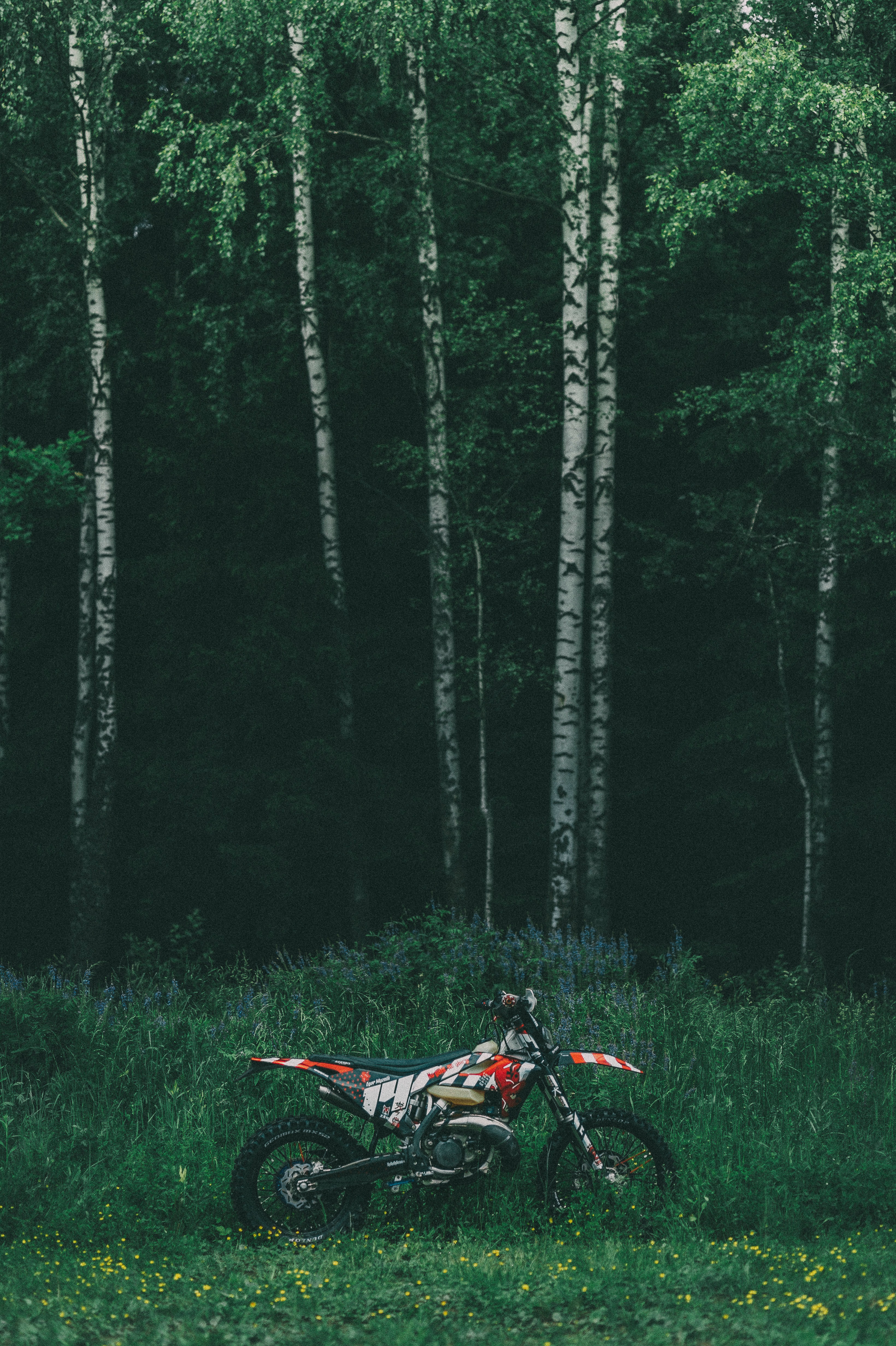 Мотоцикл в лесу
