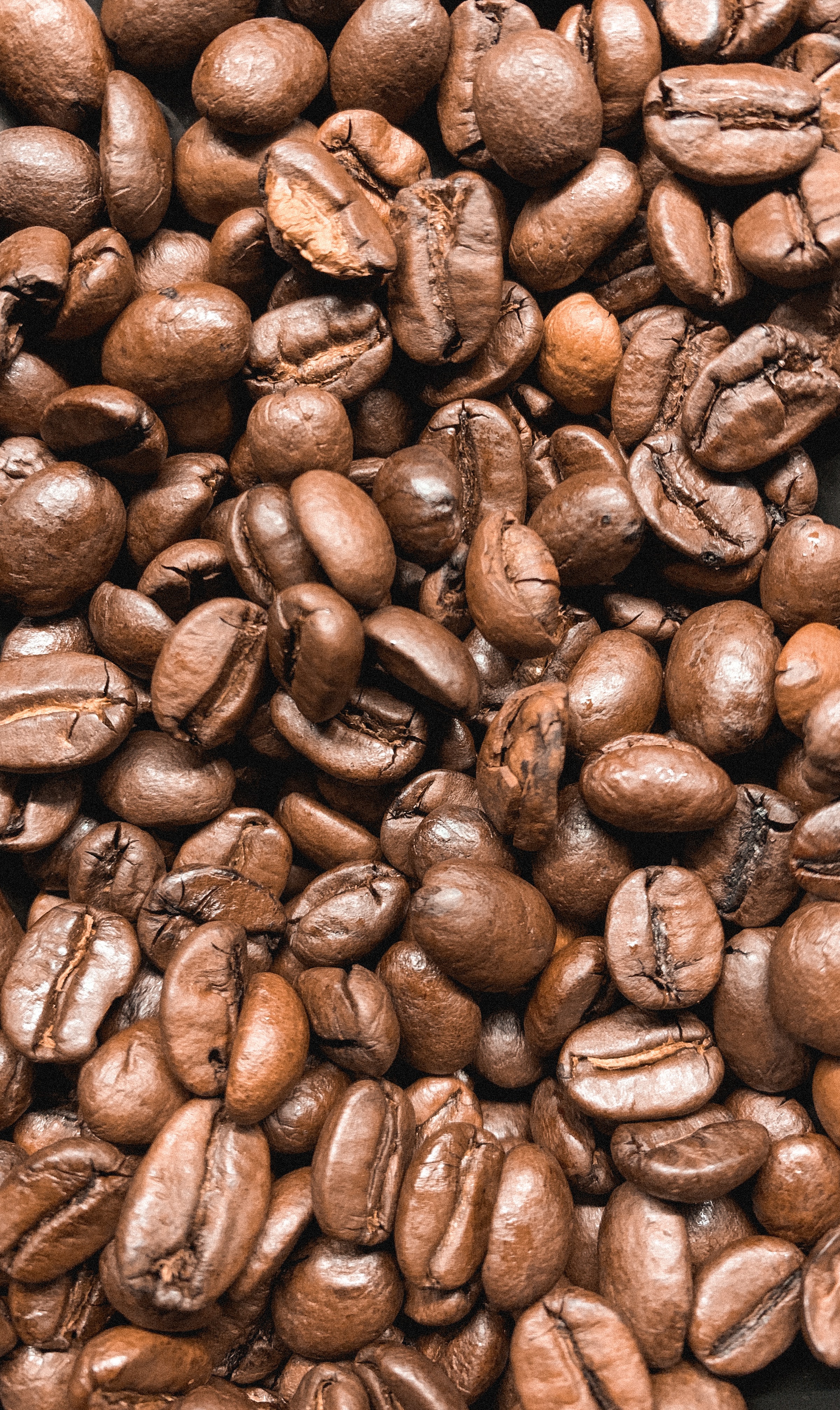 Laden Sie das Lebensmittel, Coffee, Korn, Getreide, Kaffeebohnen-Bild kostenlos auf Ihren PC-Desktop herunter