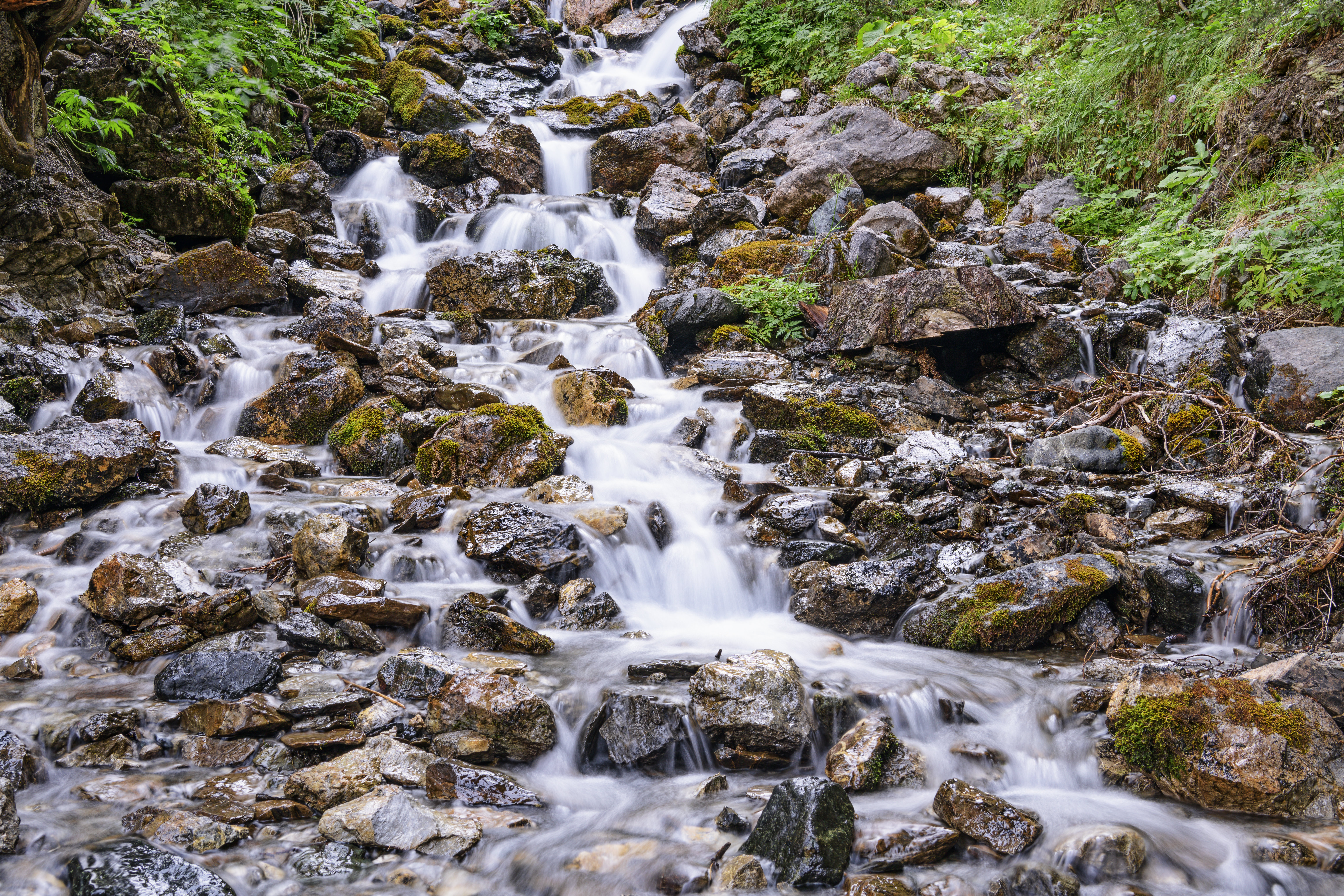 flow, plants, nature, water, stones, waterfall, stream Phone Background