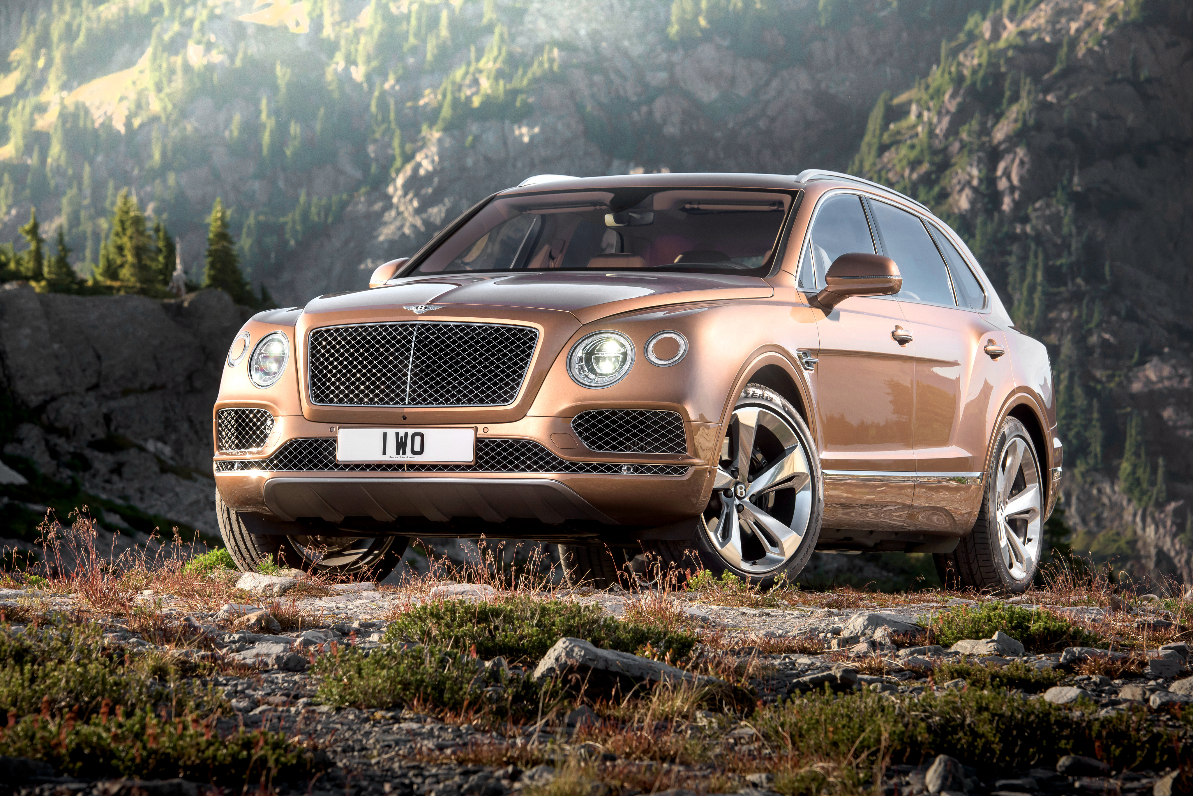 cars, brown, bentley, side view, bentayga High Definition image