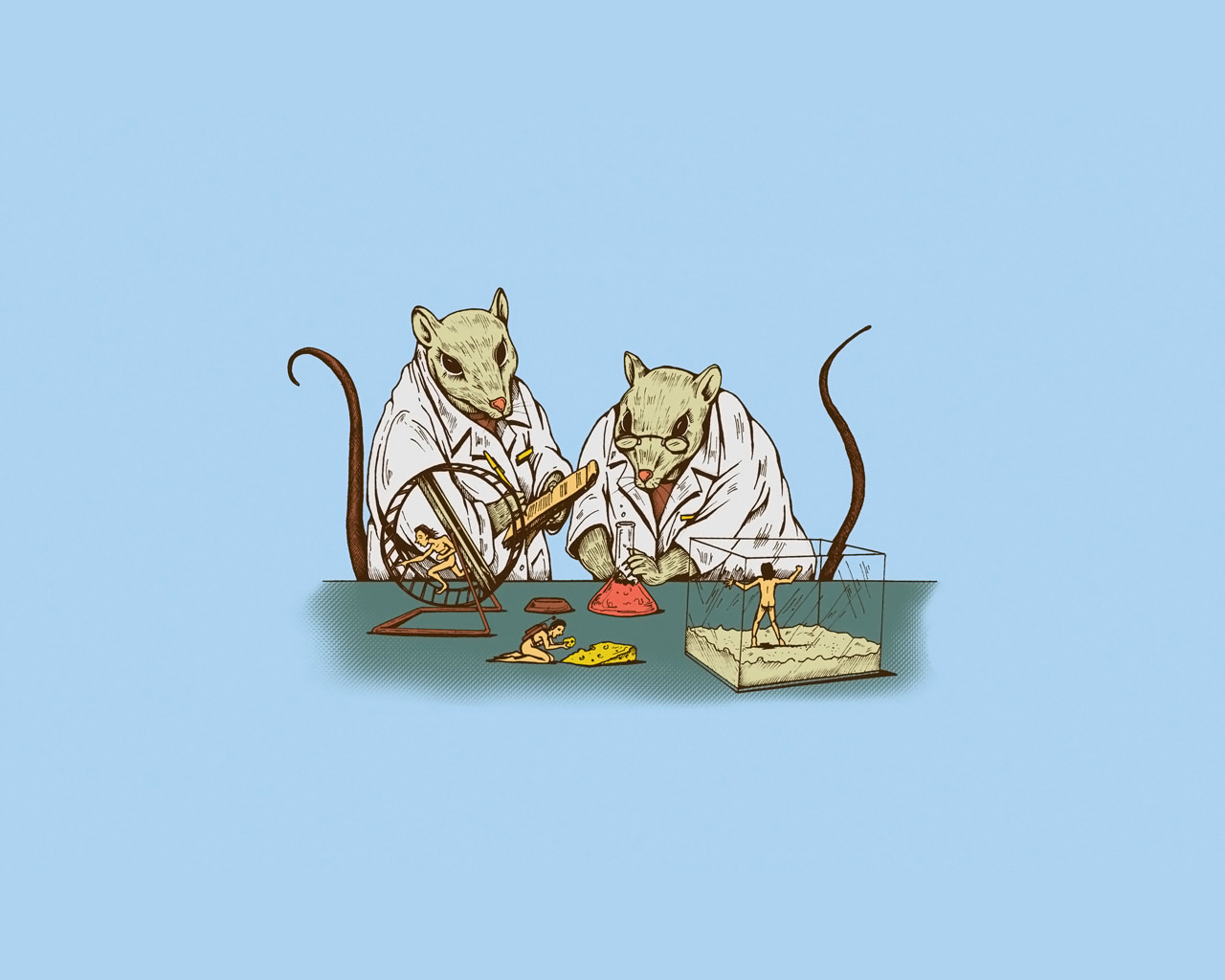1519537 скачать обои крыса, юмор, животное - заставки и картинки бесплатно