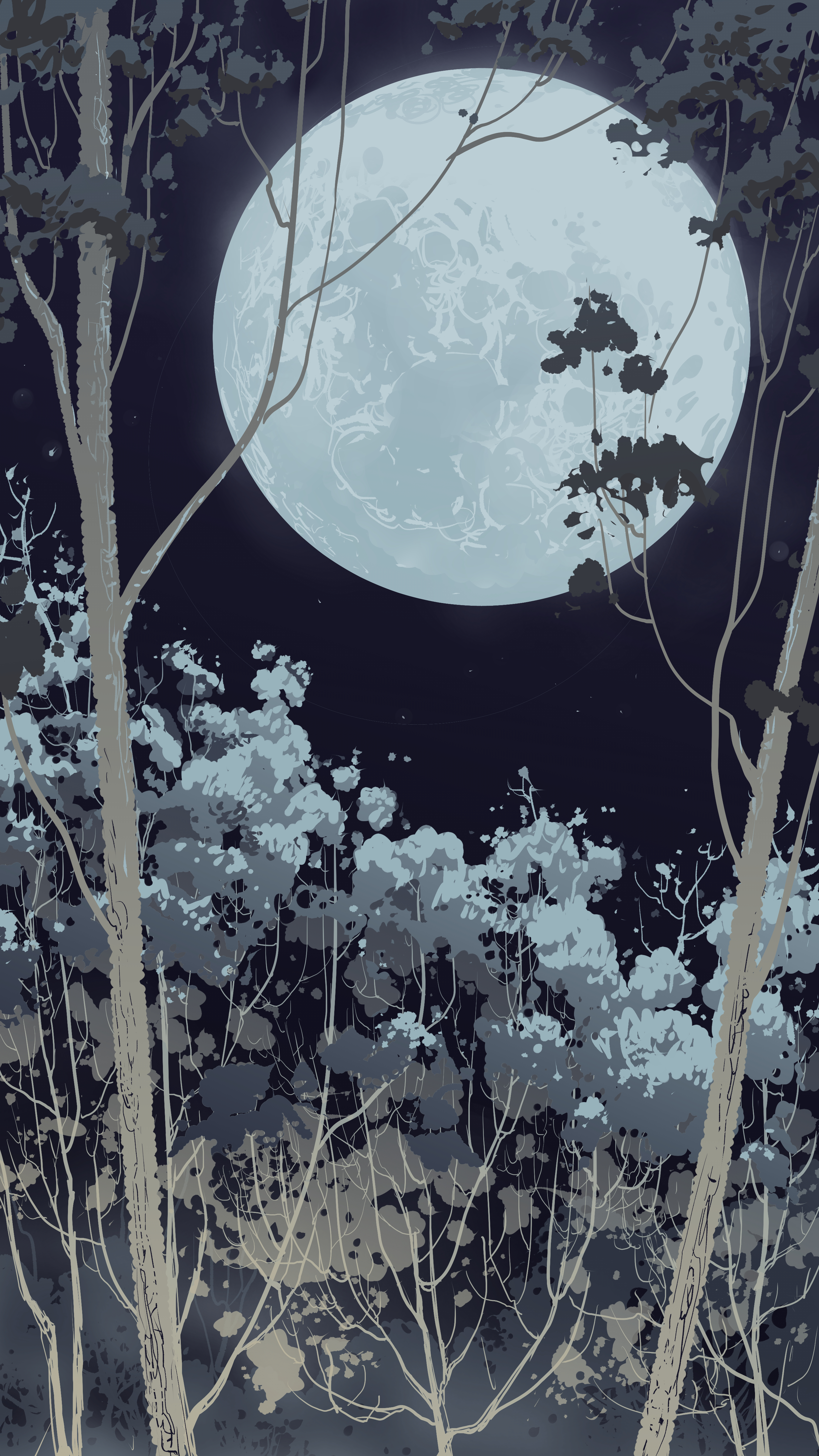 full moon, vector, night, forest