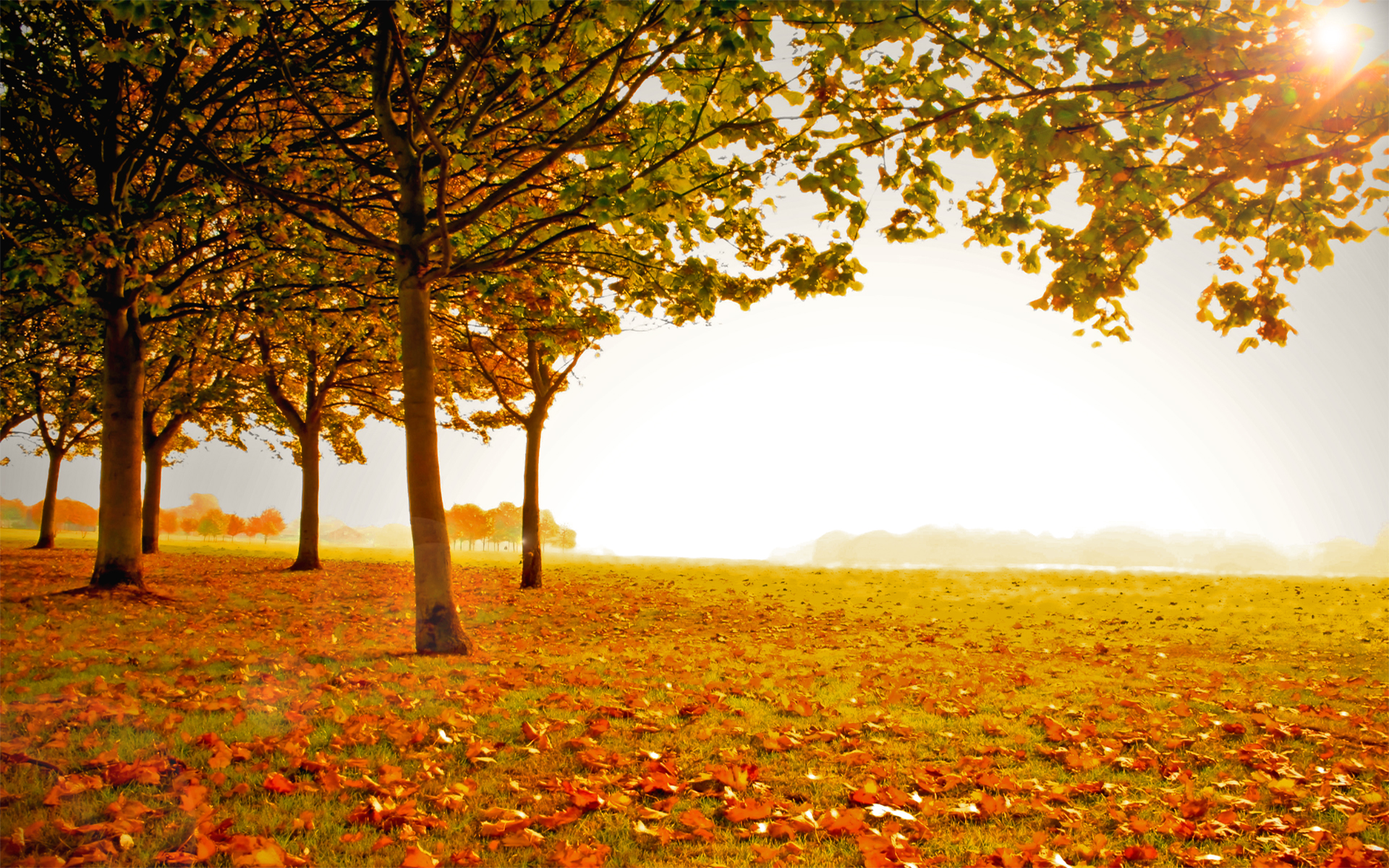 Осенний пейзаж фон