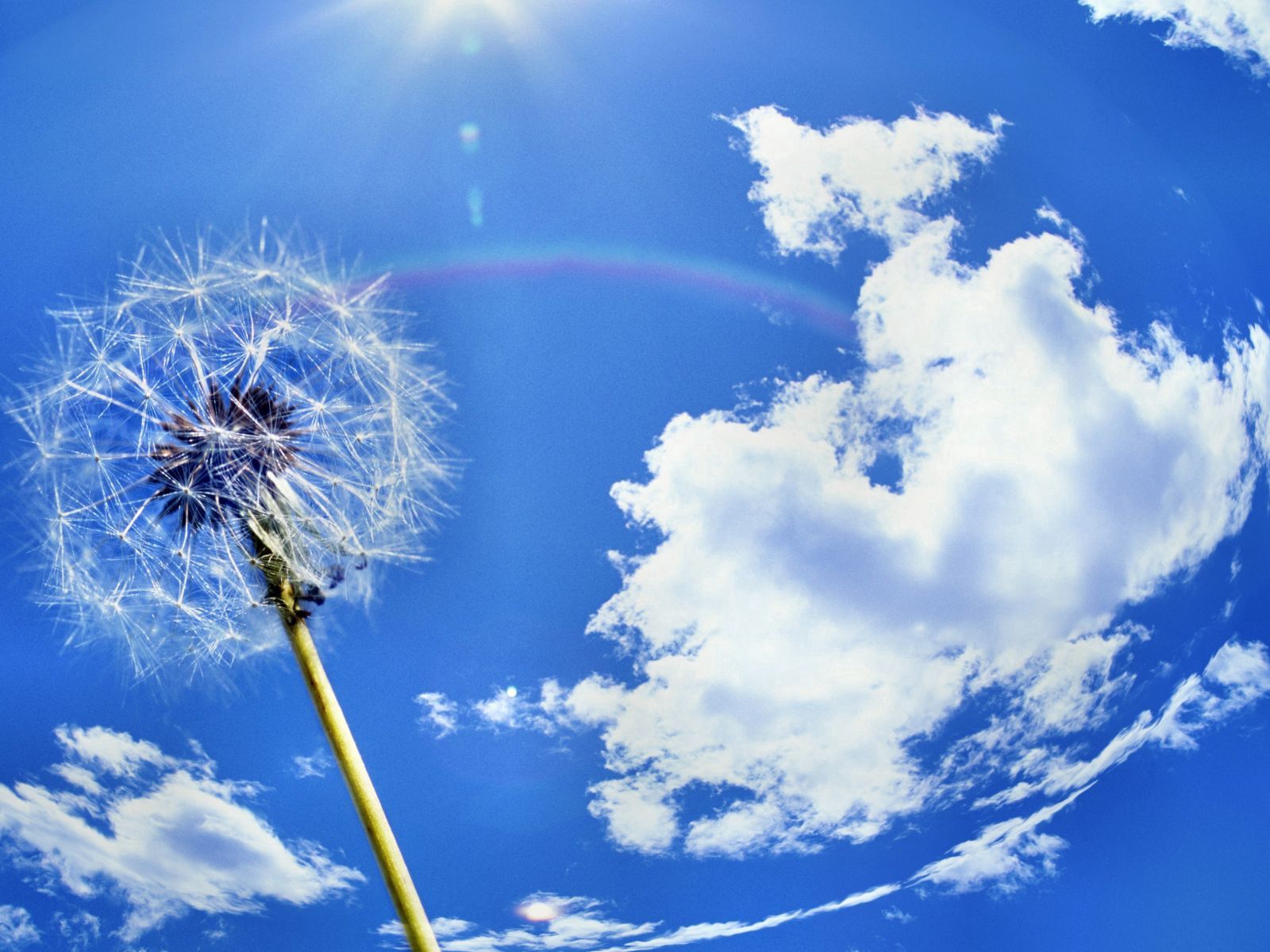 Download mobile wallpaper Sky, Clouds, Nature, Dandelion for free.