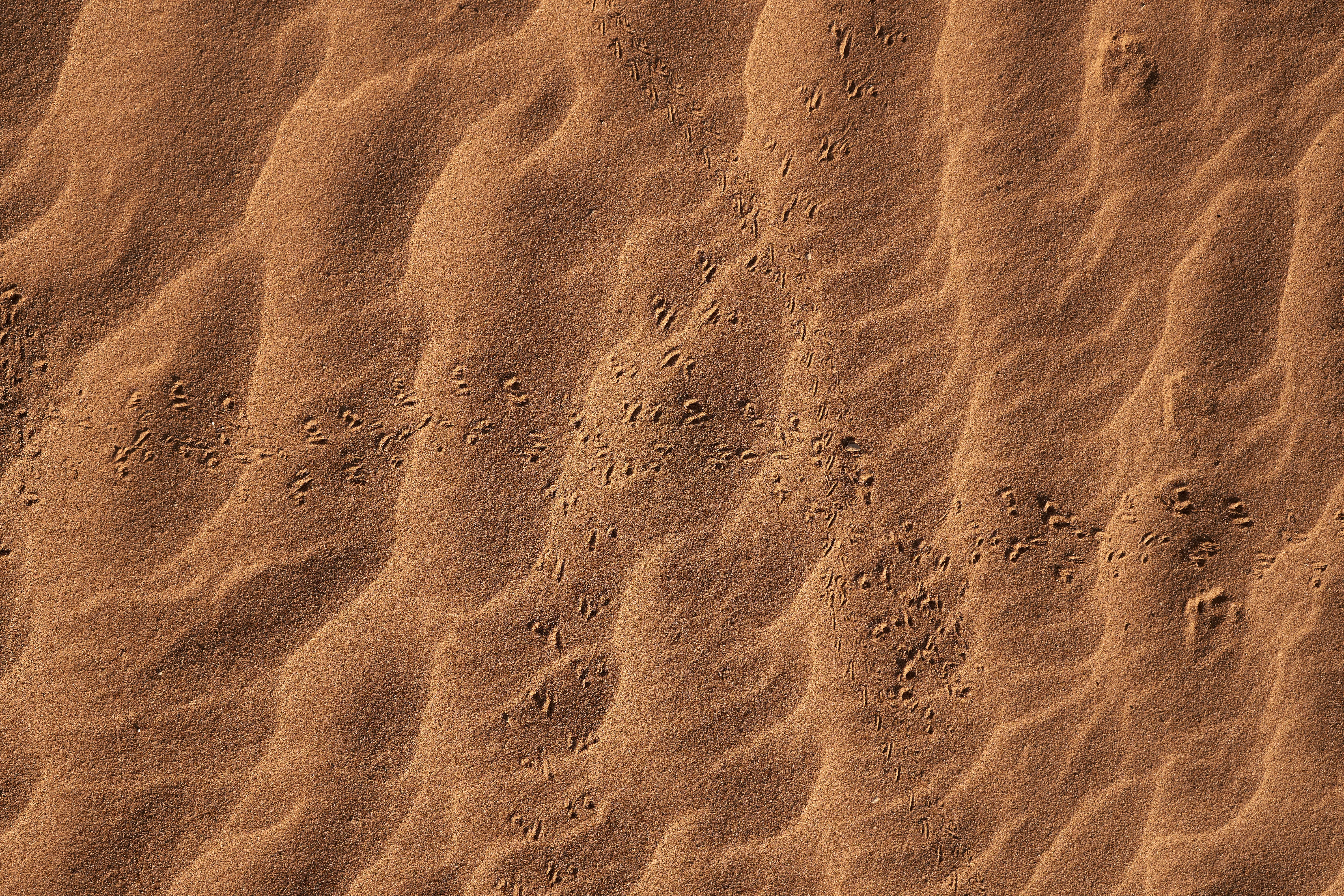 sand, desert, texture, textures, traces 1080p
