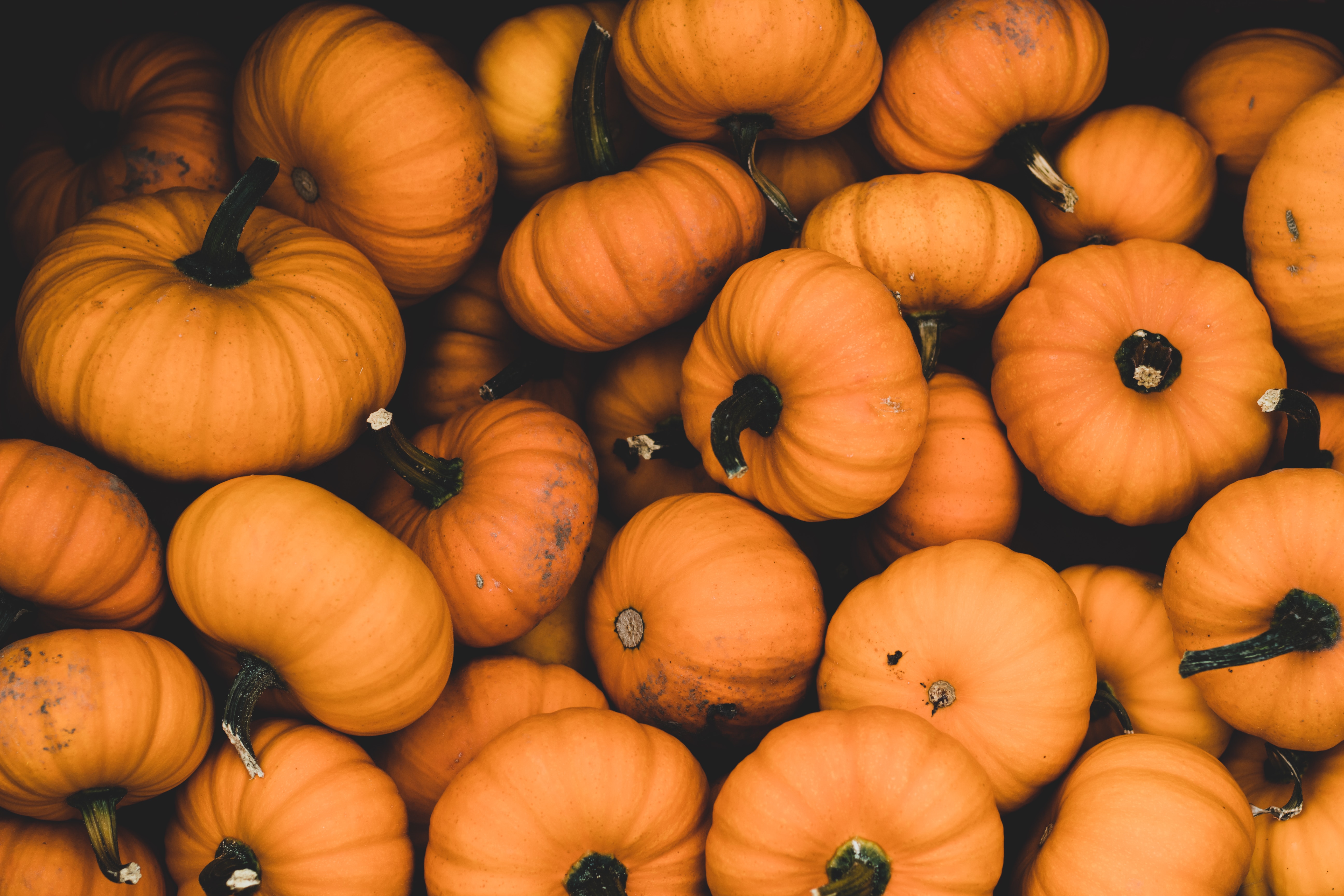 Download mobile wallpaper Ripe, Harvest, Food, Autumn, Pumpkin for free.