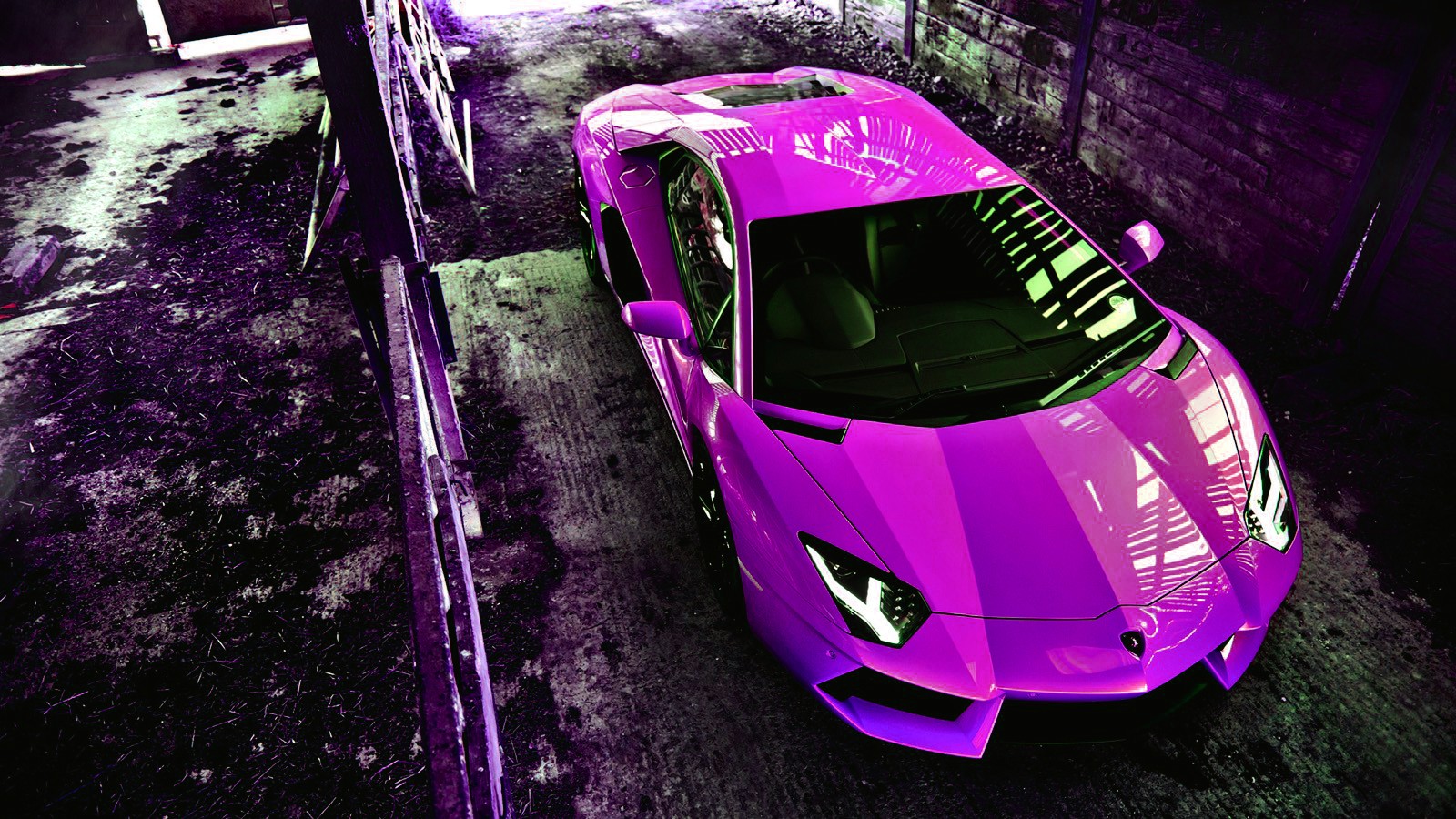 Purple Lamborghini Neon