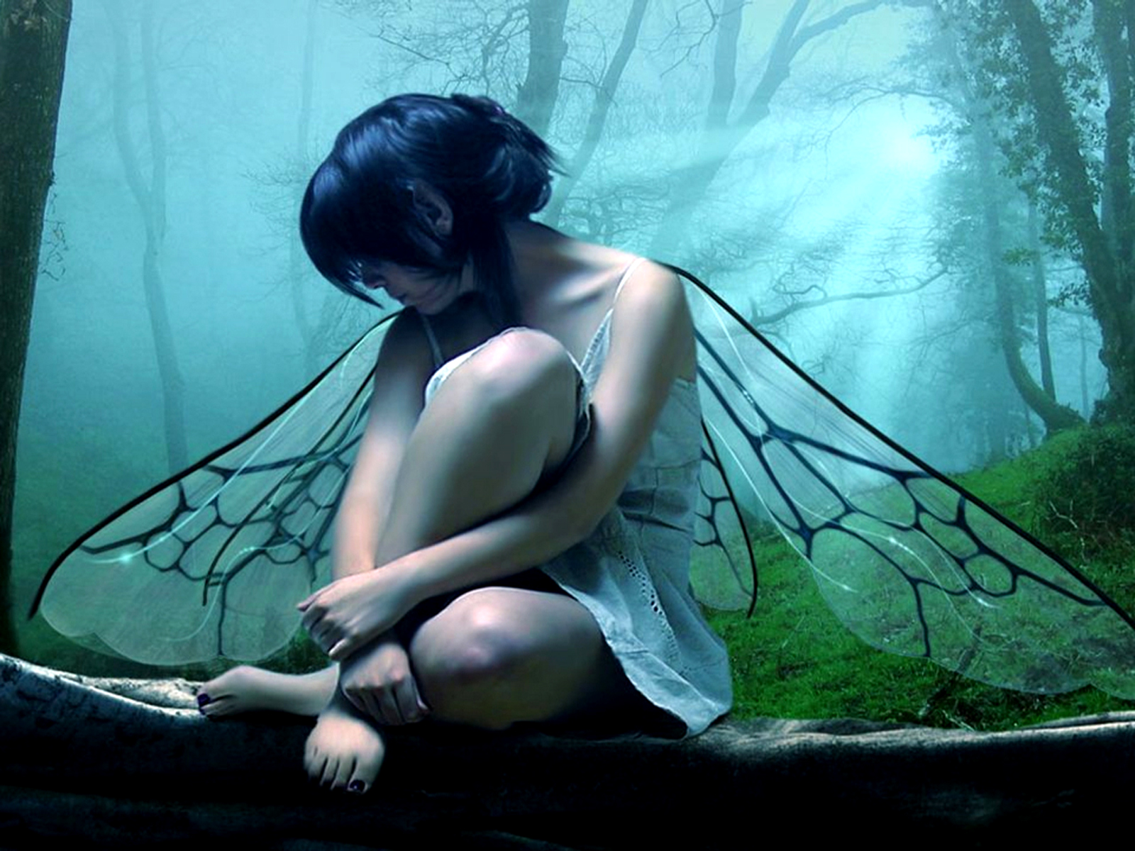 wings, fairy, fantasy