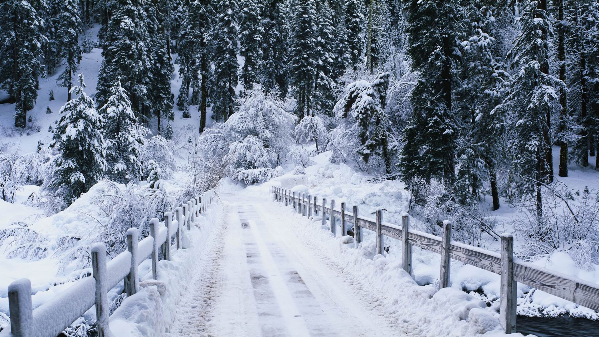 548147 скачать картинку мост, дорога, зима, снег, лес, природа, фотографии, земля, ограда, дерево - обои и заставки бесплатно