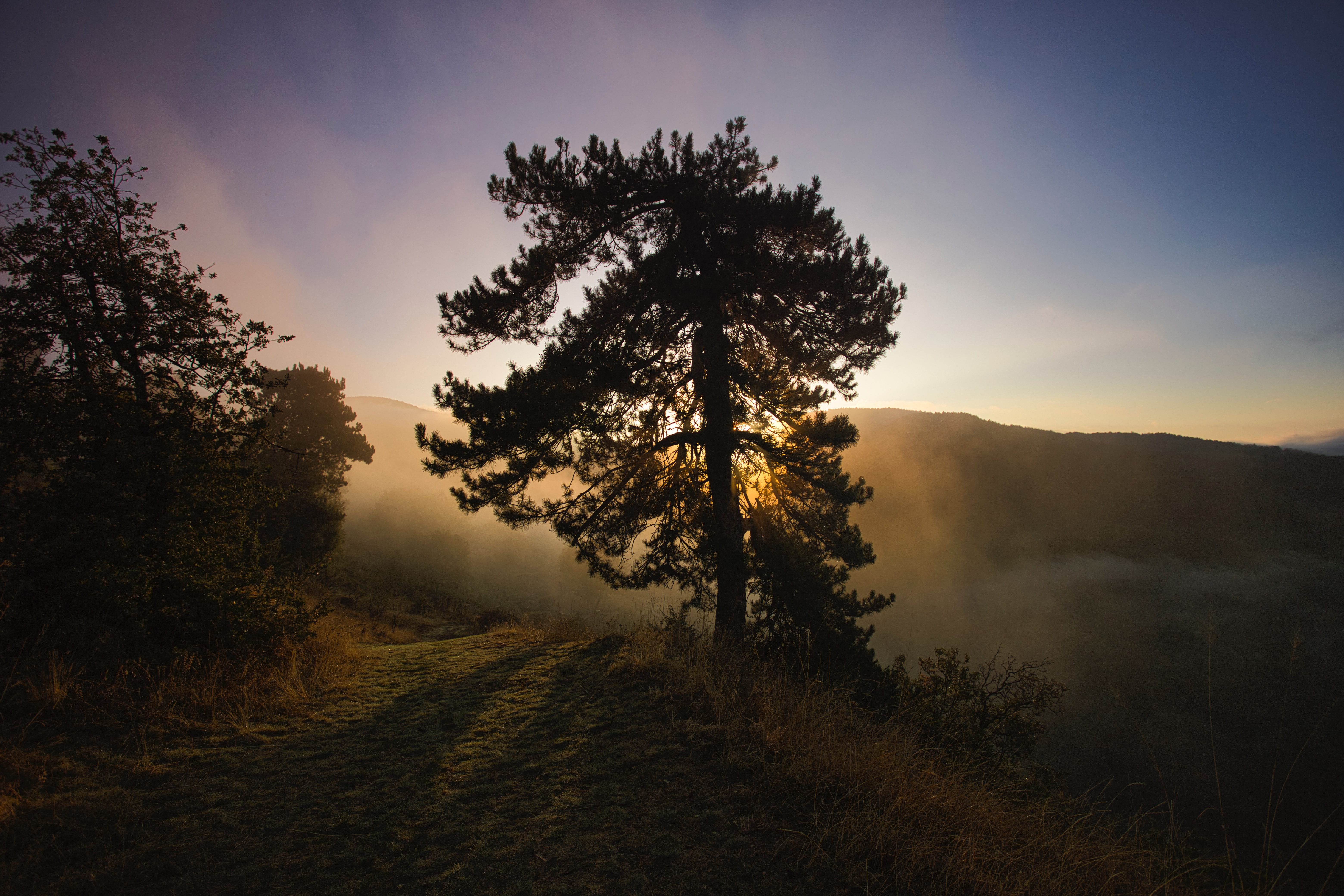 100636 descargar imagen paisaje, naturaleza, amanecer, madera, árbol, niebla, las colinas, colinas: fondos de pantalla y protectores de pantalla gratis