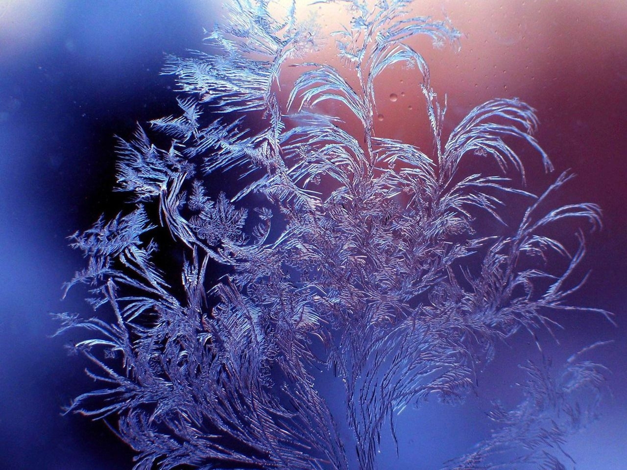 Download mobile wallpaper Ice, Background for free.