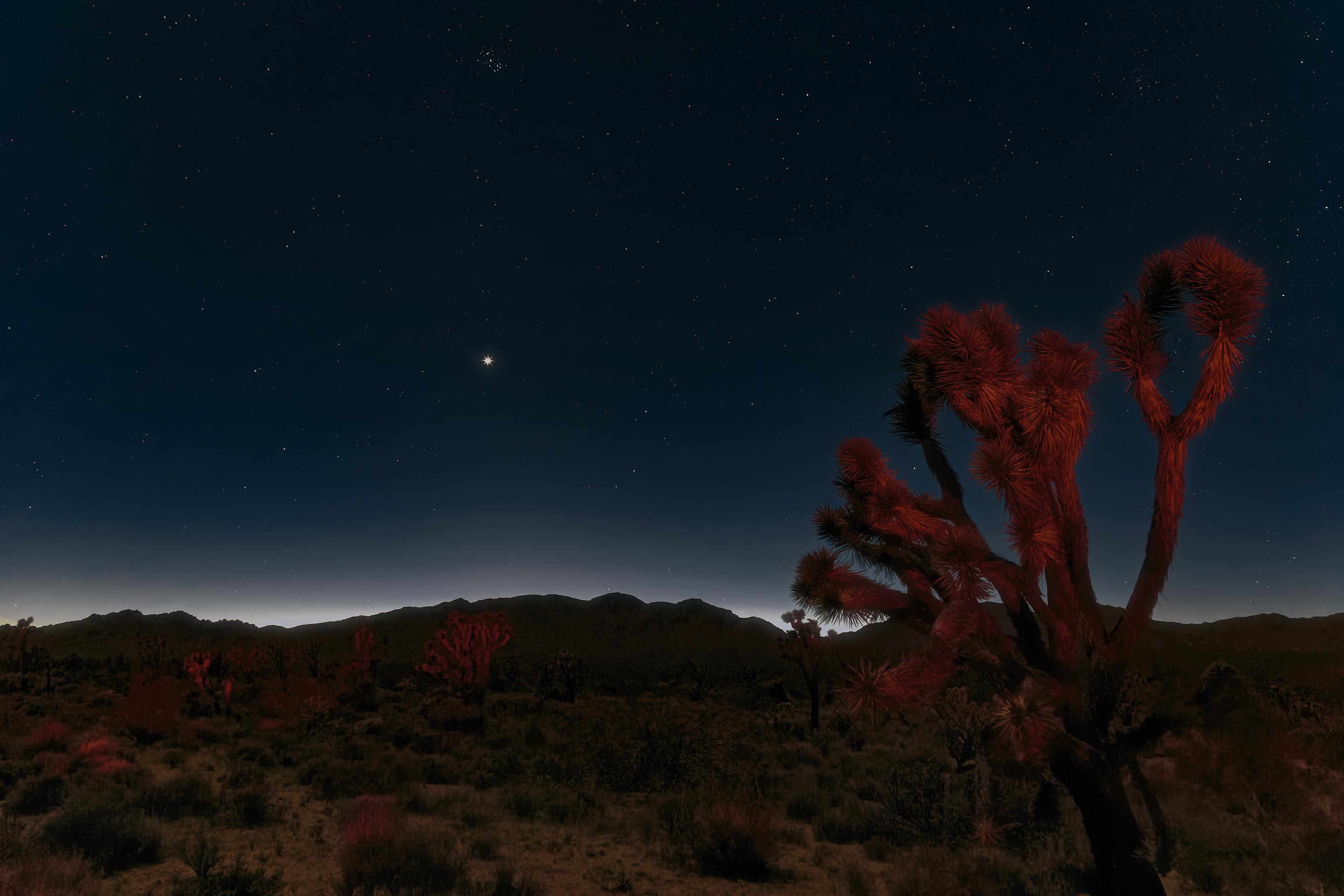 Mojave ночная пустыня