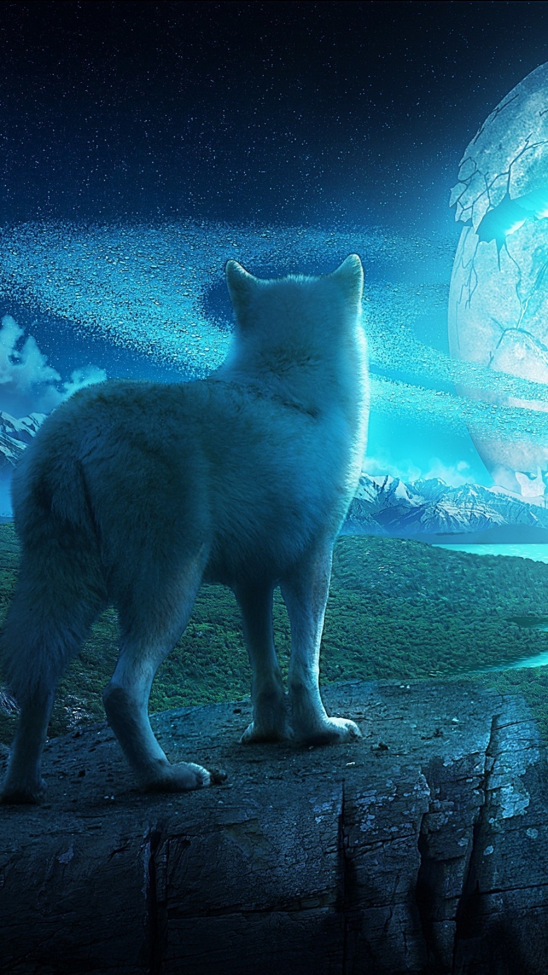  Wolf HD Android Wallpapers