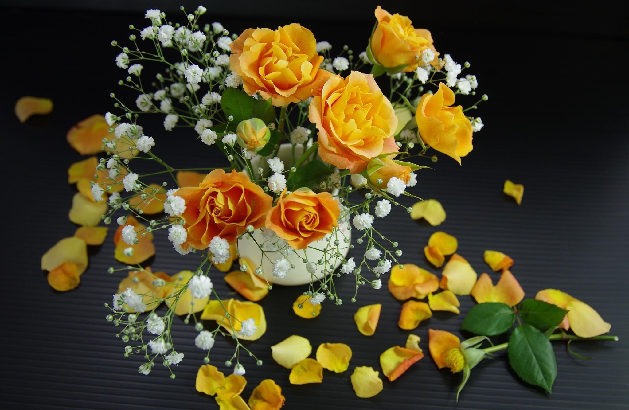 Best Flowers Desktop Images