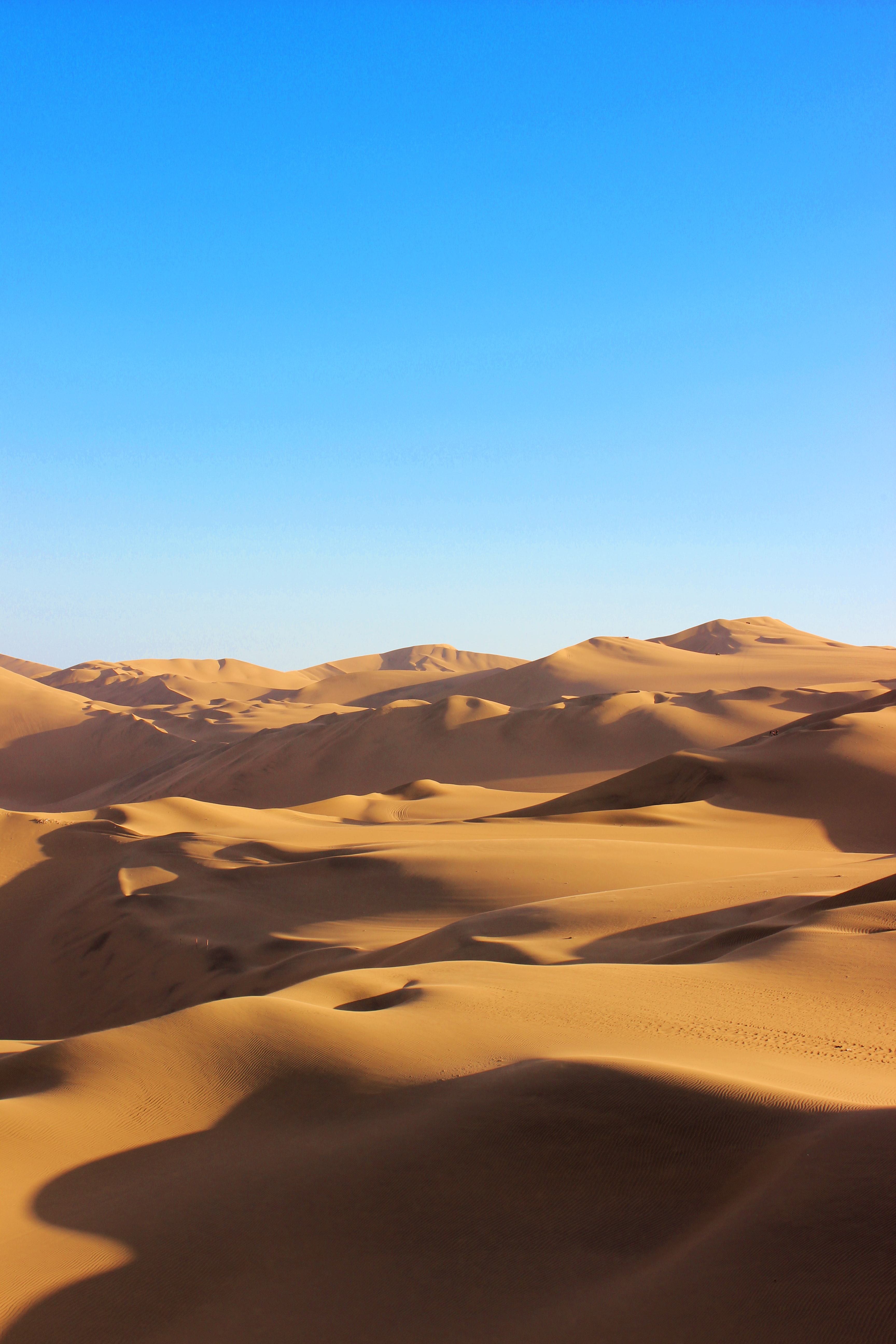 nature, sand, desert, hills, dunes, links