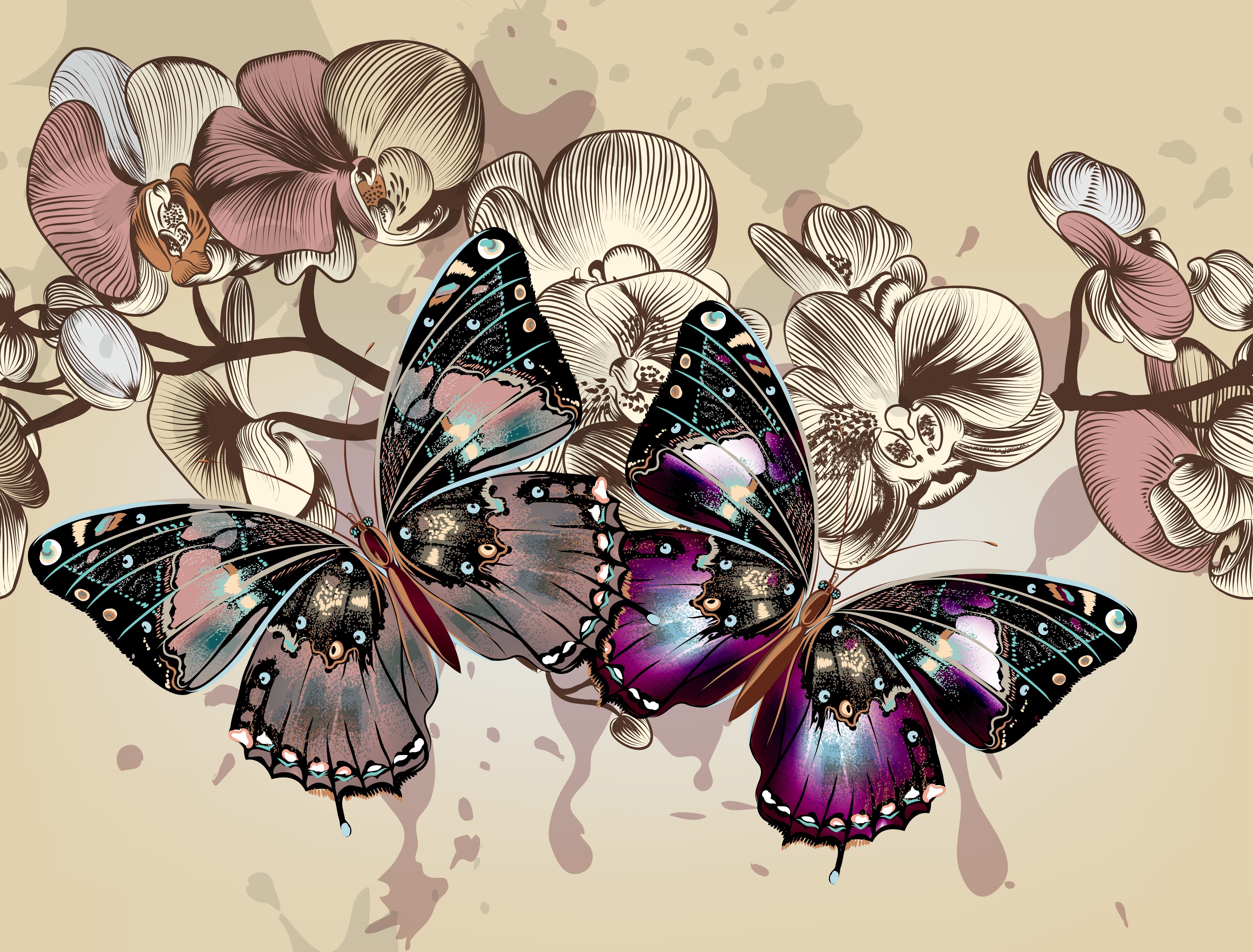 Красивые картины на телефон. Бабочки картинки. Бабочка рисунок. Красивые цветы и бабочки. Обои на рабочий стол бабочки.