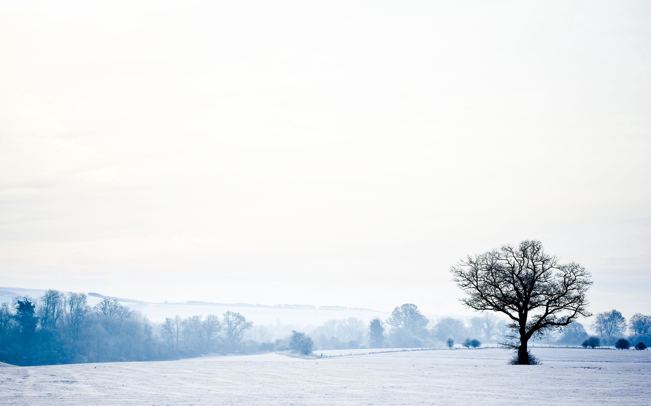 landscape, winter, nature, snow, wood, tree, lonely, cold, emptiness, void