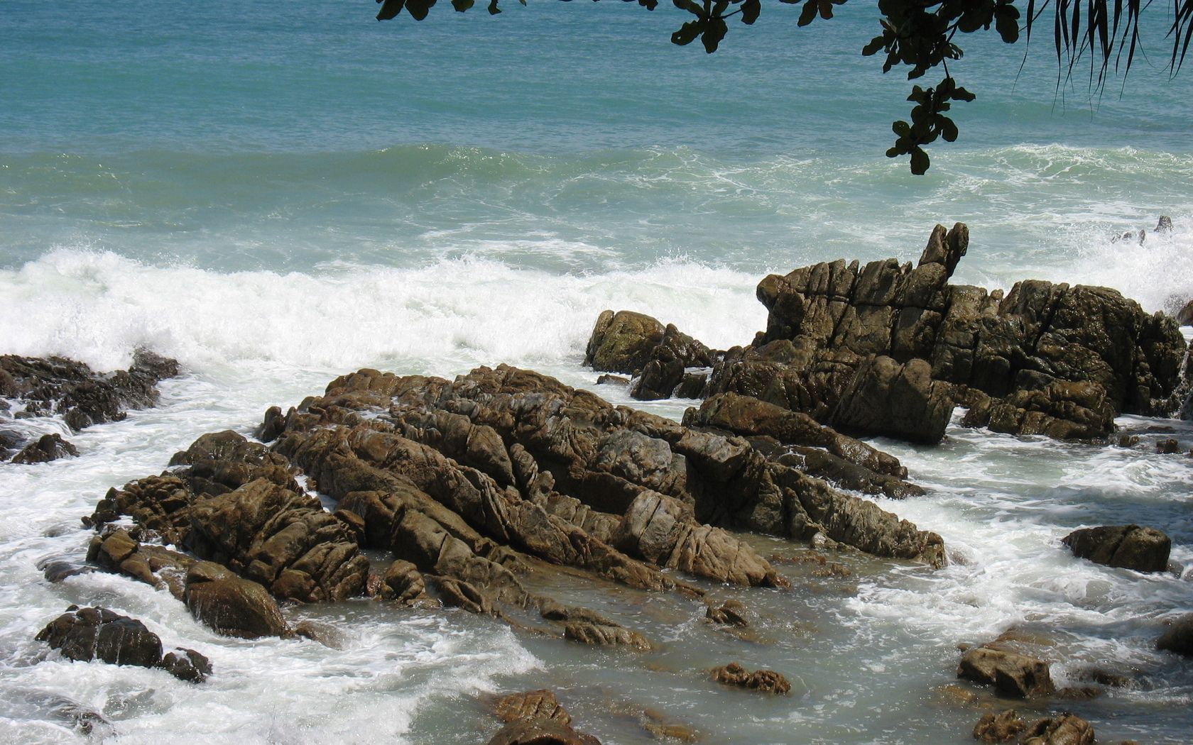 nature, stones, sea, waves, rocks, shore, bank, branches, branch, rugged, cut