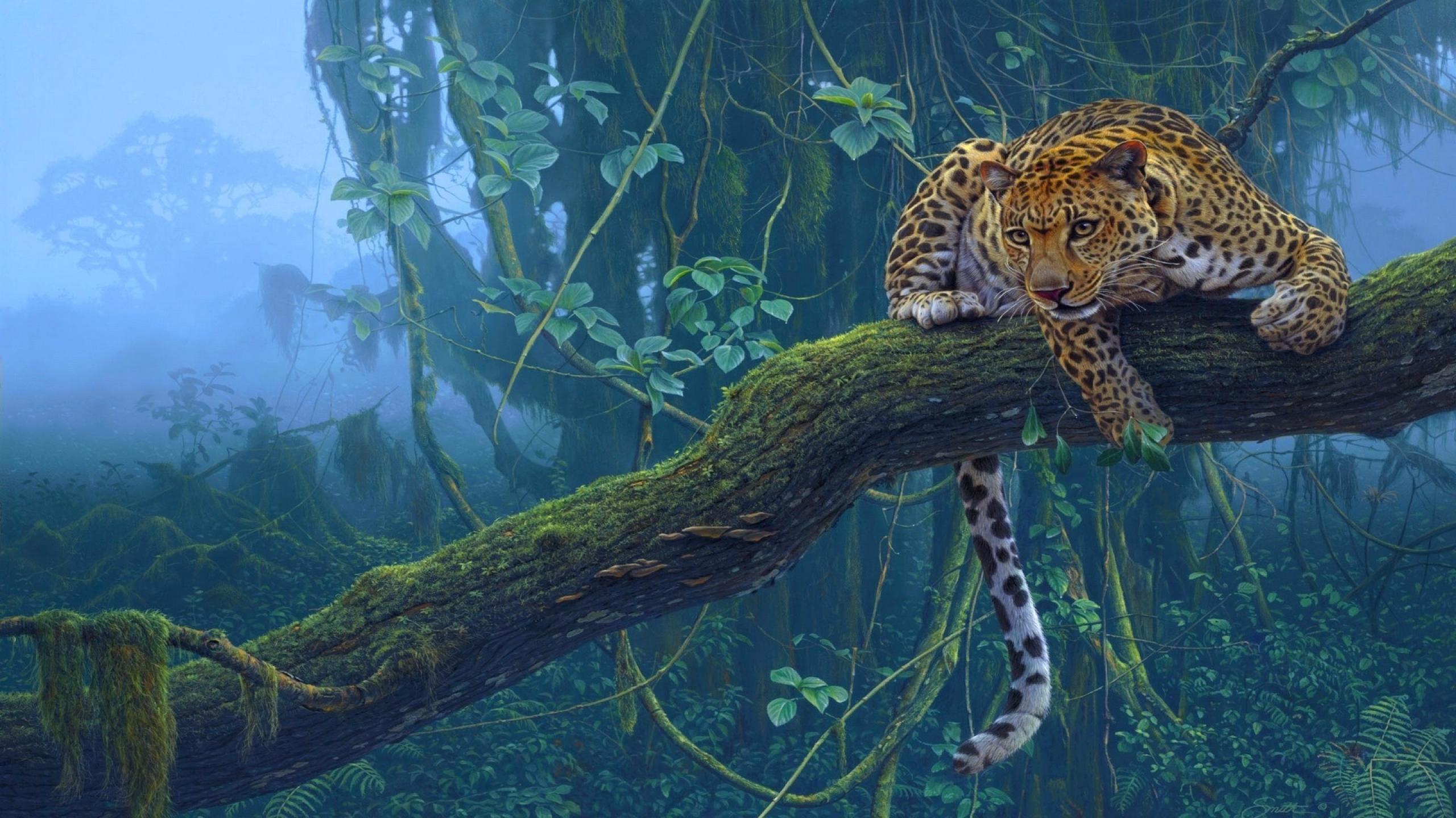 leopard, rainforest, jungle, branch, animal, fog, cats QHD