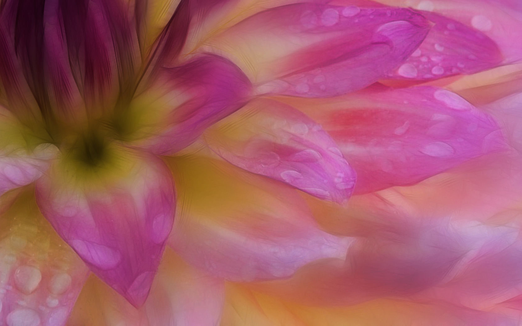 flowers, pastel, flower, artistic download HD wallpaper