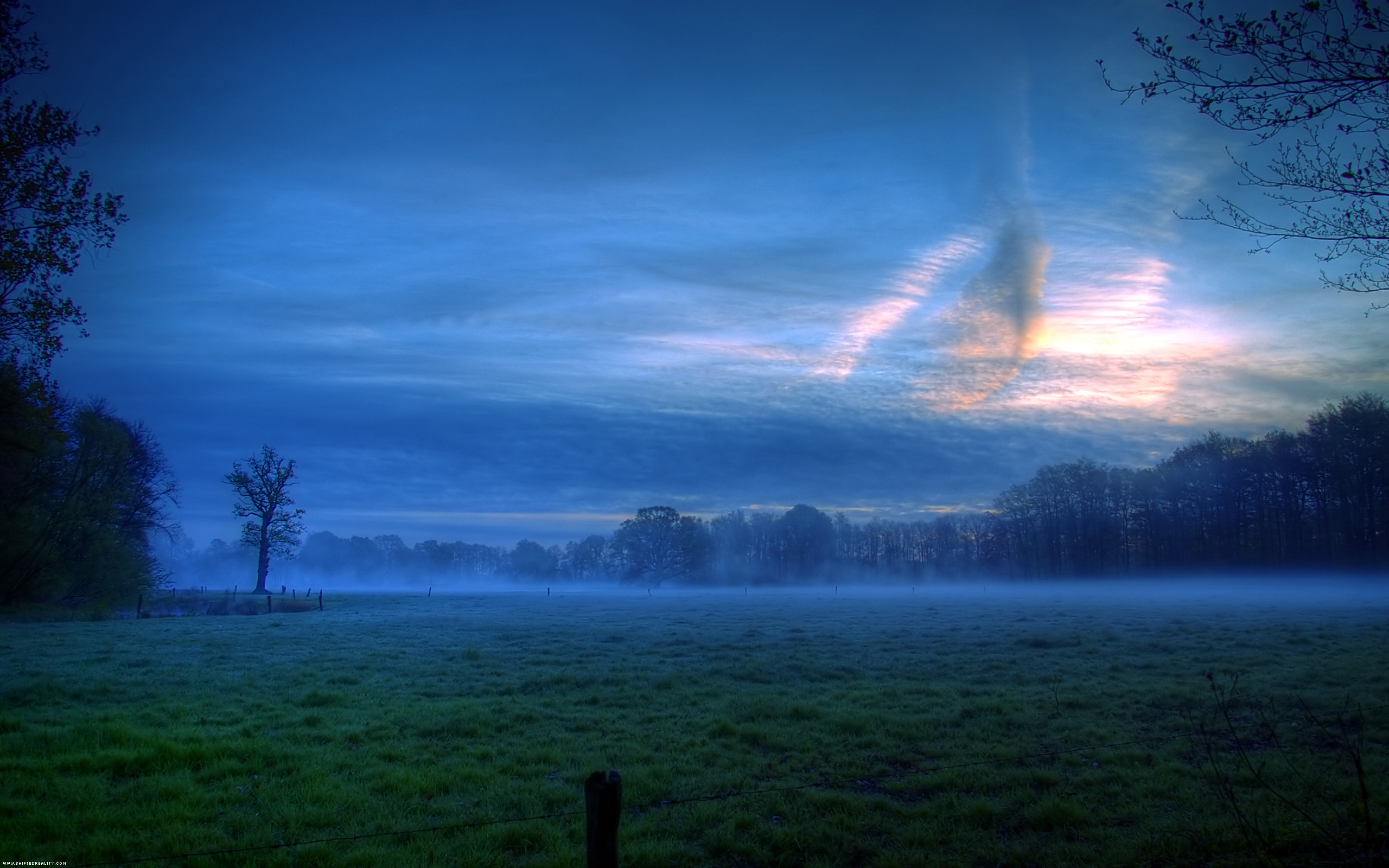 field, green, tree, earth, cloud, dusk, fog