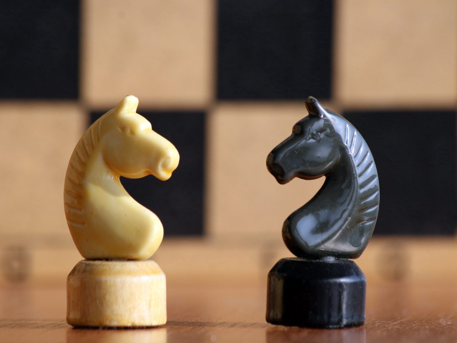 sports, chess, black, white, shapes, shape, horse HD wallpaper