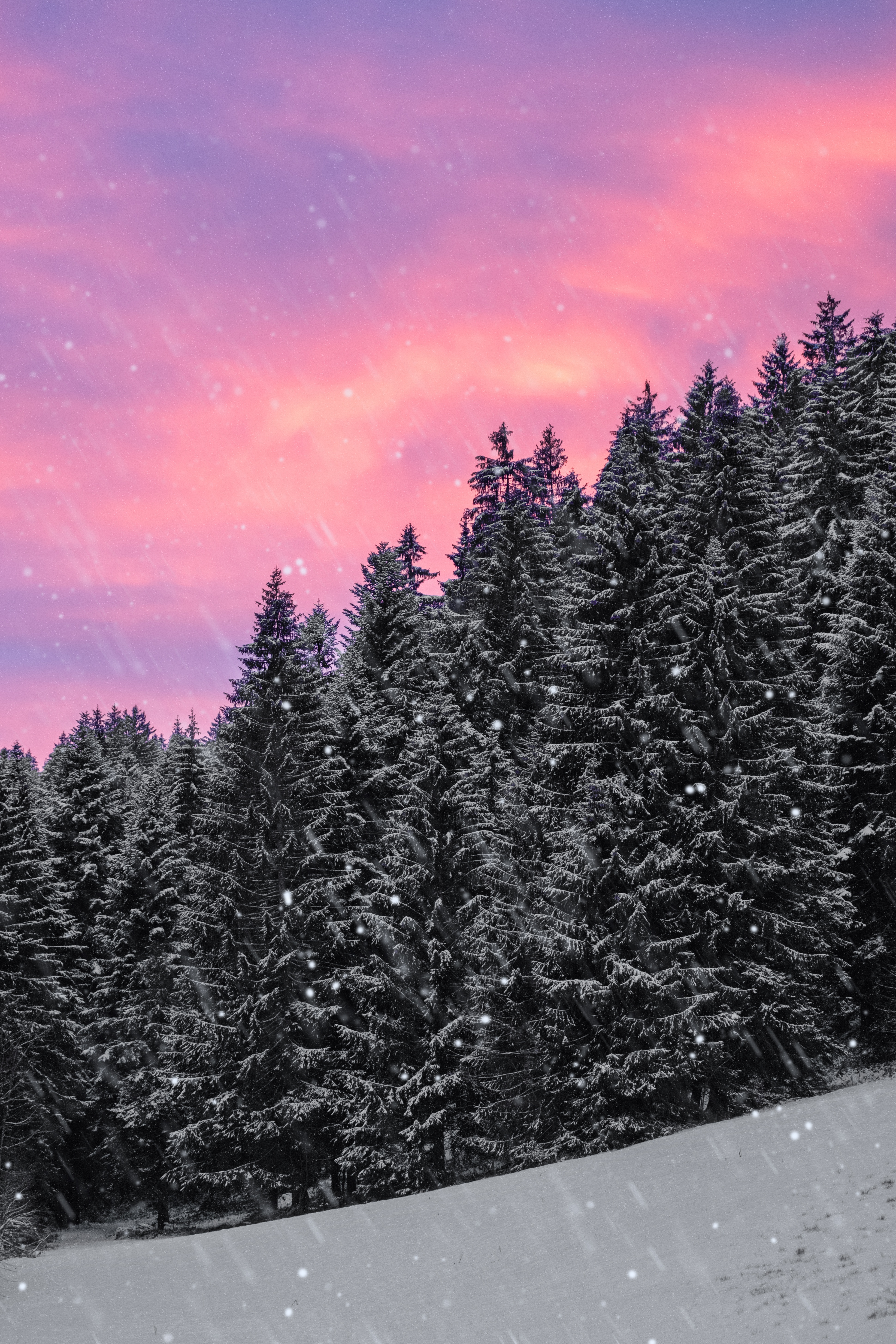 winter, nature, sky, snow, forest, ate, snowfall