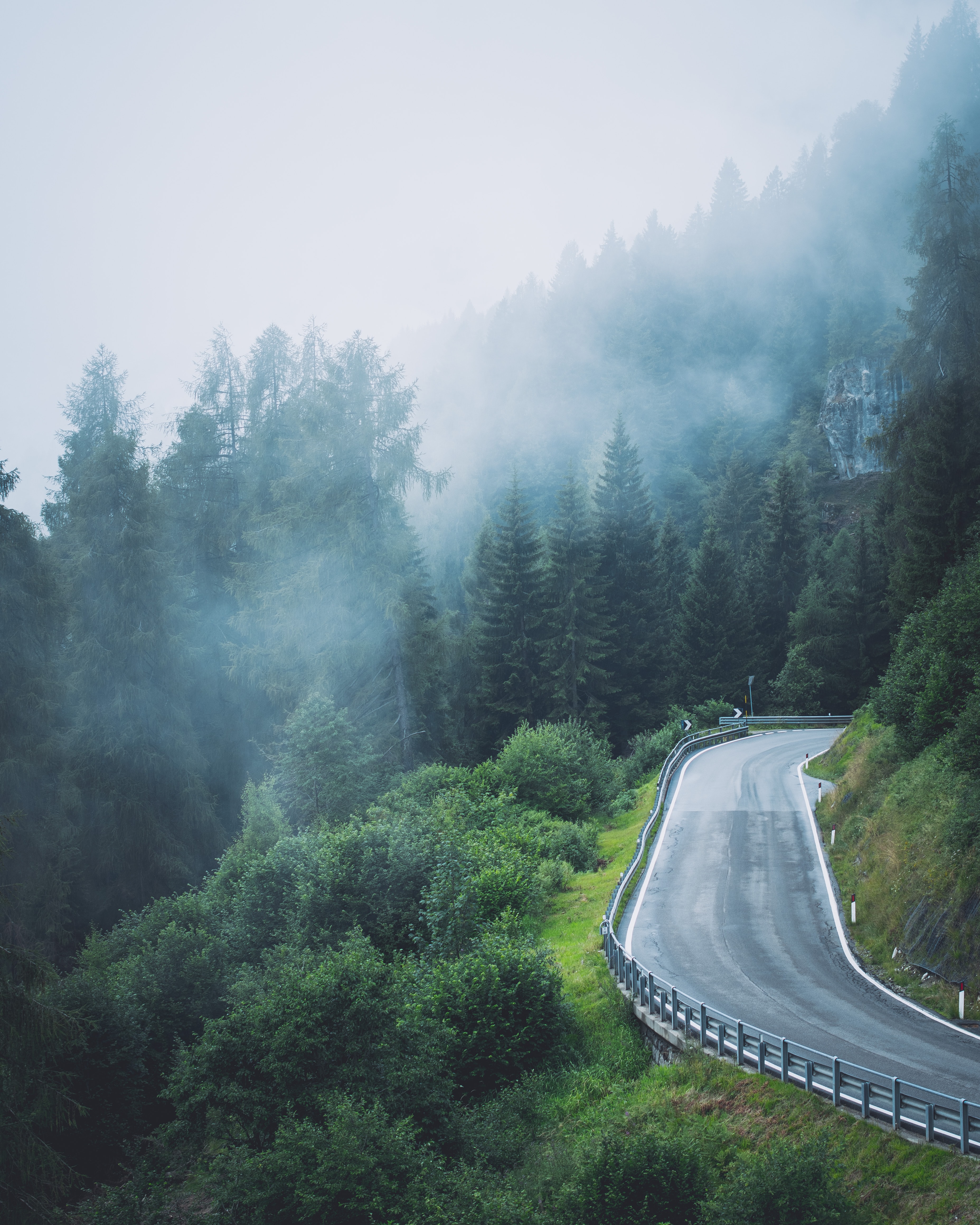 slope, nature, trees, road, fog High Definition image