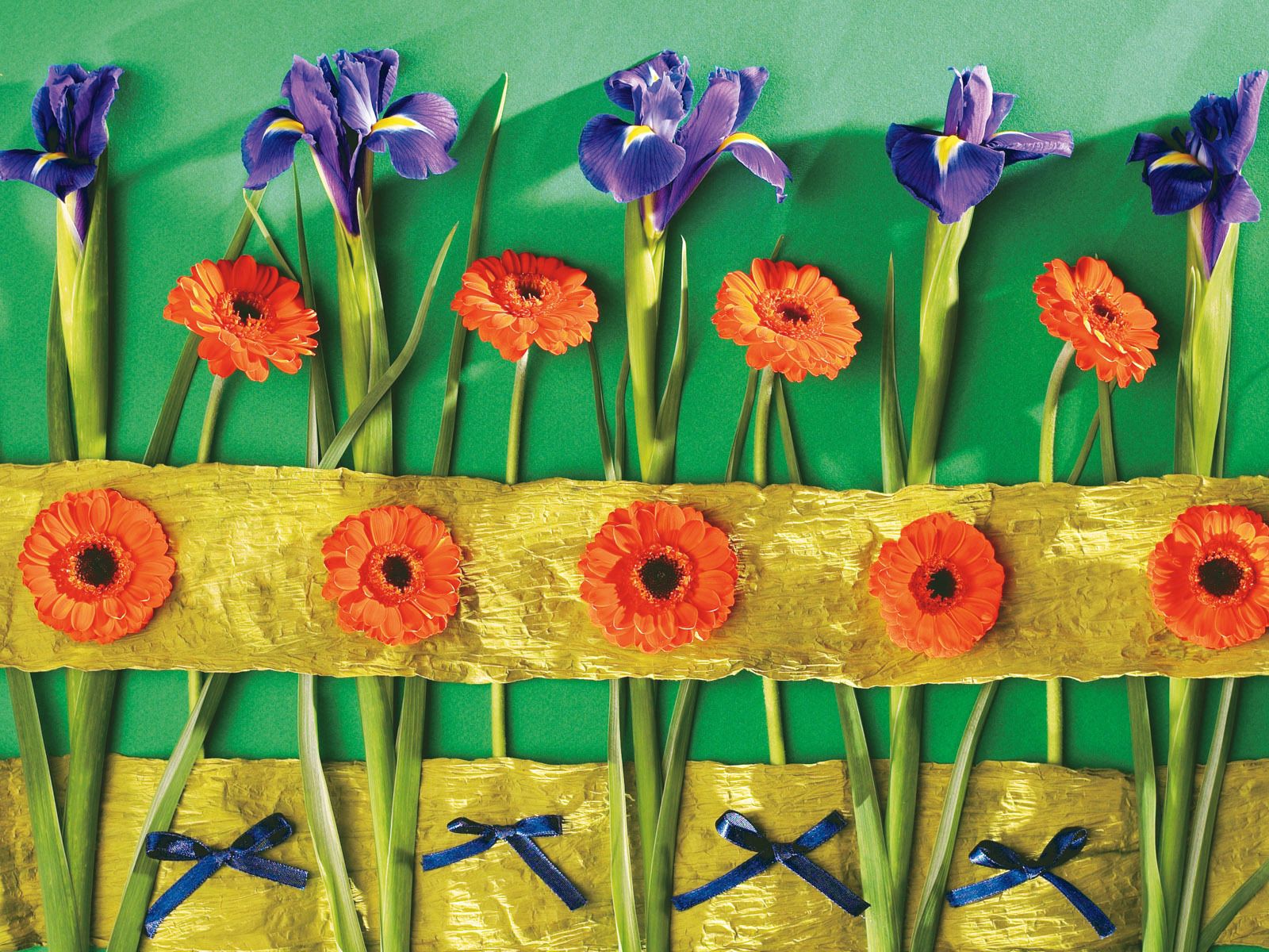 flowers, gerberas, wall, decoration, bows, irises