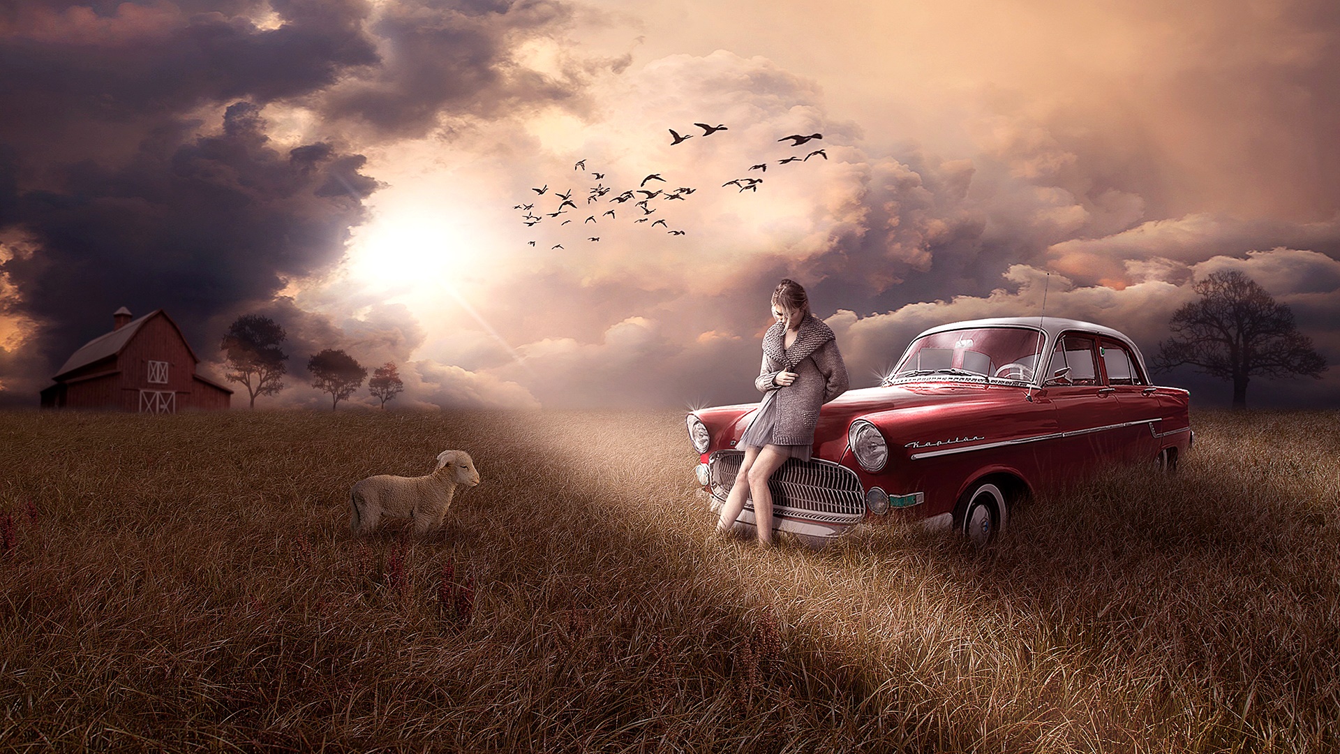 fantasy, women, car, field, lamb, sad iphone wallpaper
