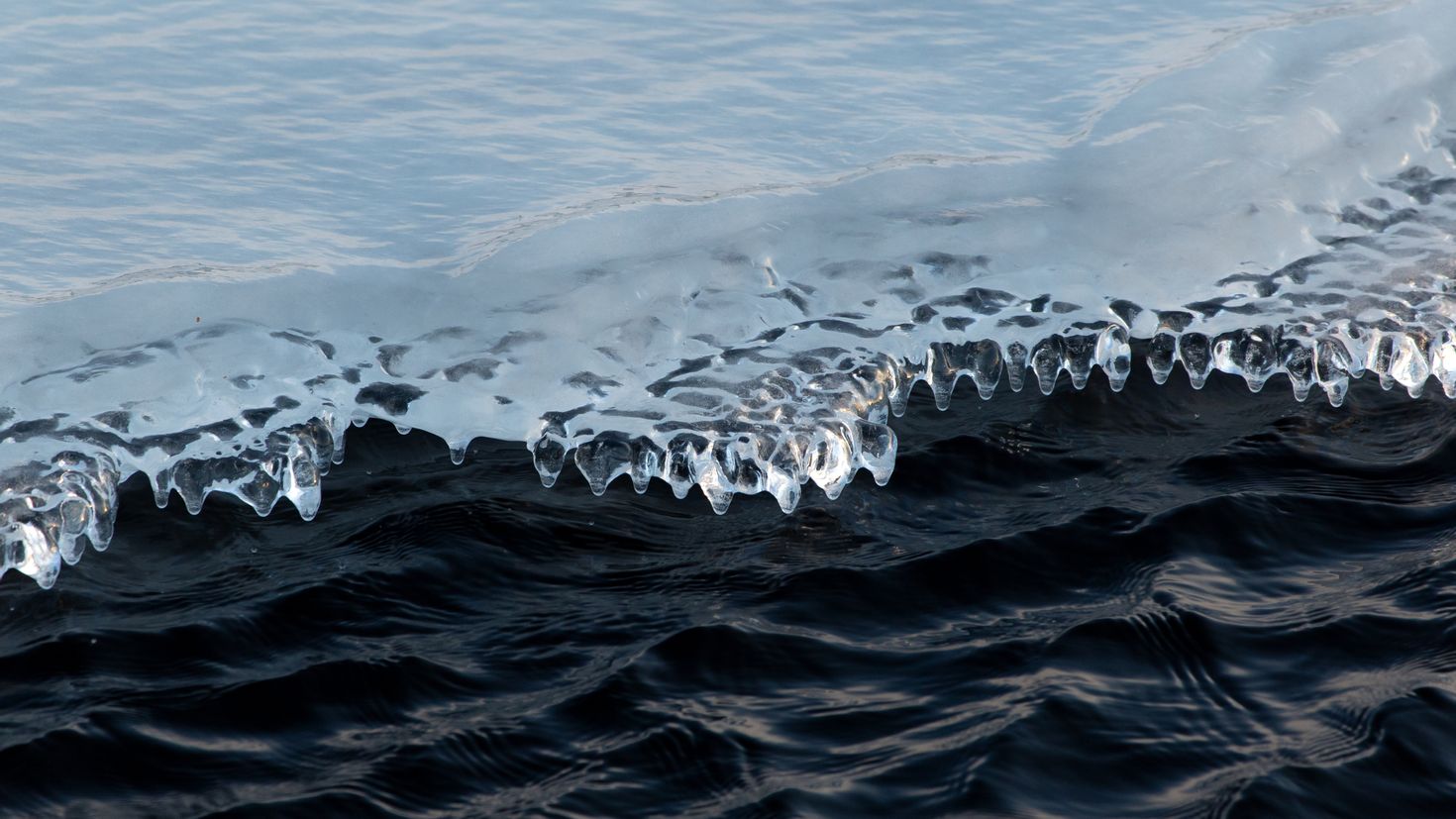 Лед в океане