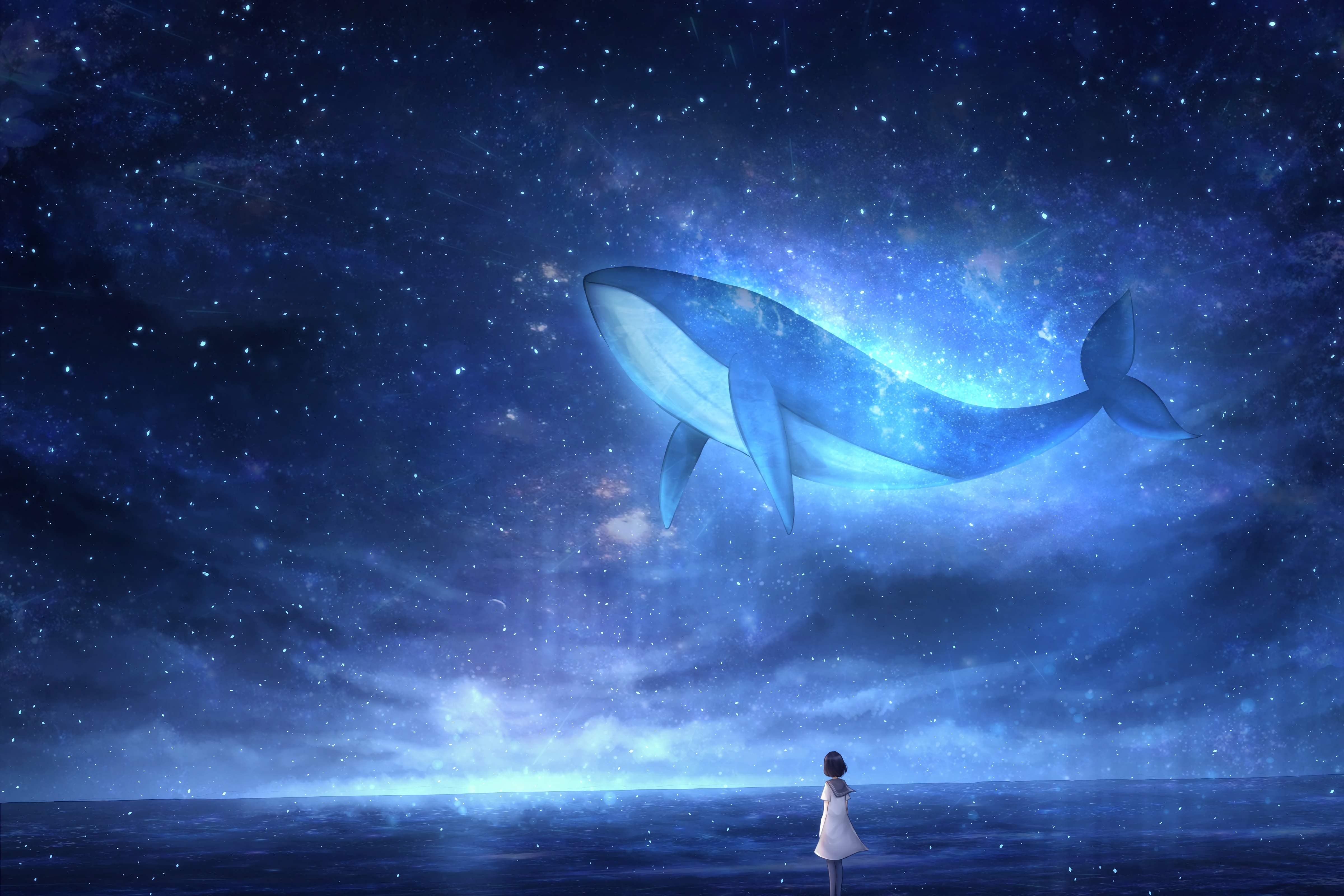 120 Whale HD Wallpapers and Backgrounds