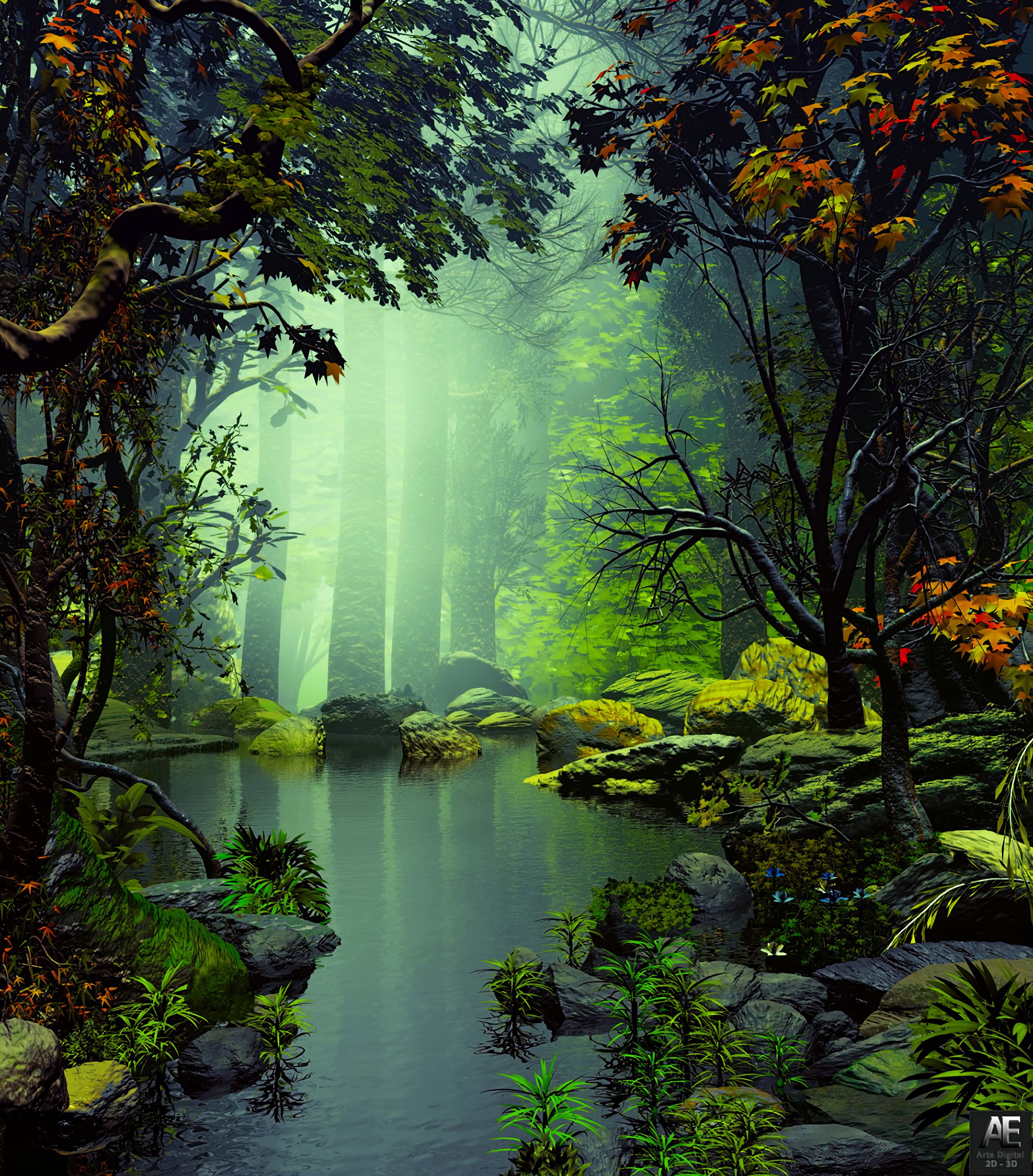 HD wallpaper: love image 4k full screen, plant, sky, beauty in nature, tree  | Wallpaper Flare