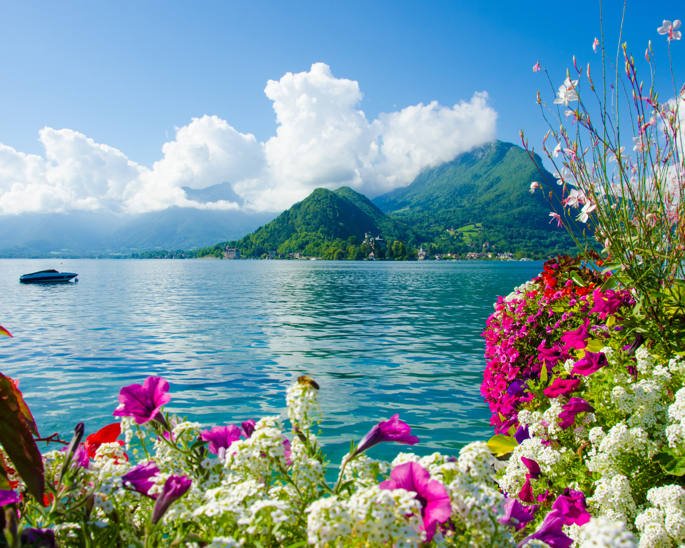цветы голубое озеро