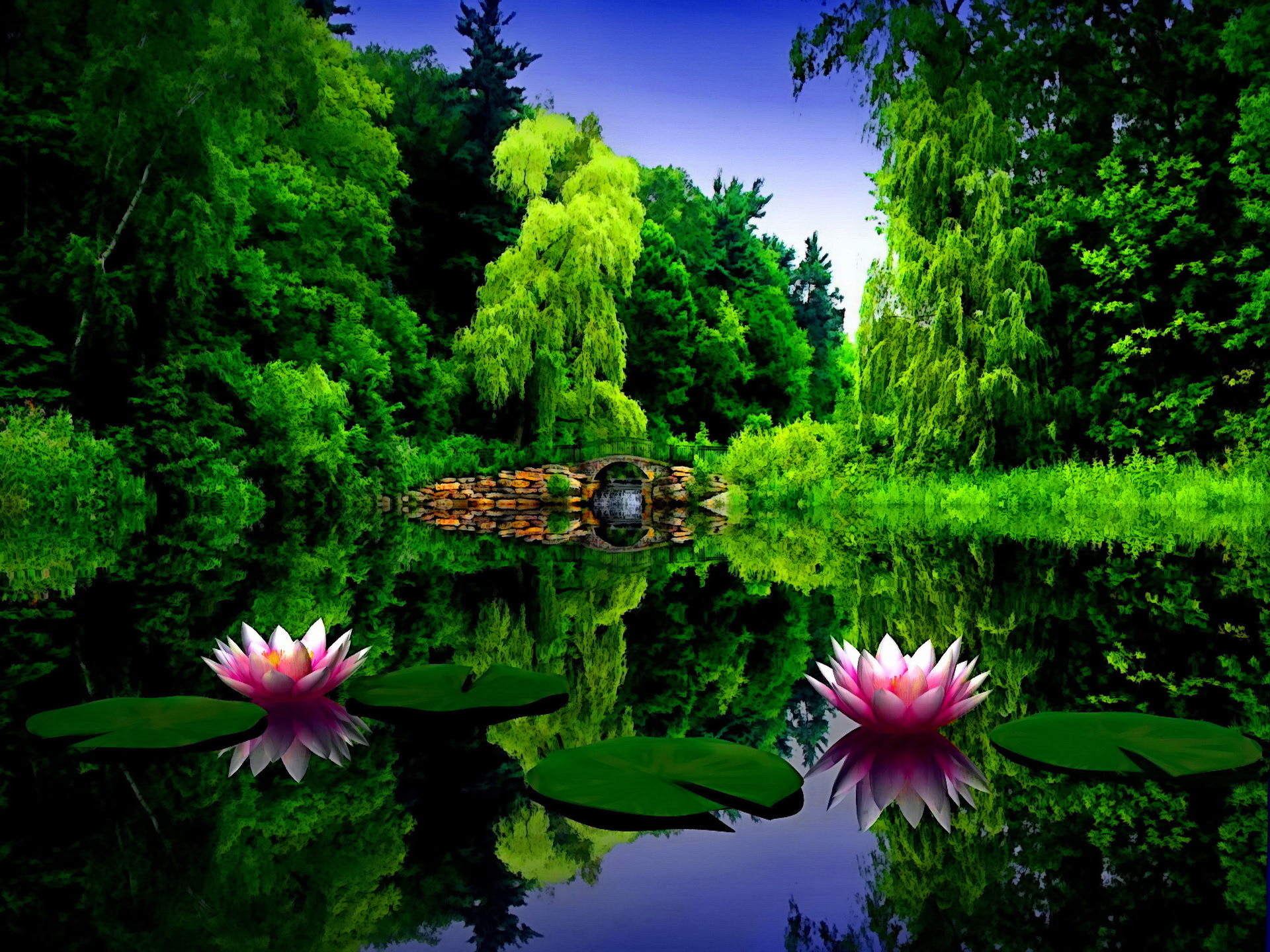 lily pad, reflection, park, tree, lotus, spring, pond, photography, bridge, green, water lily