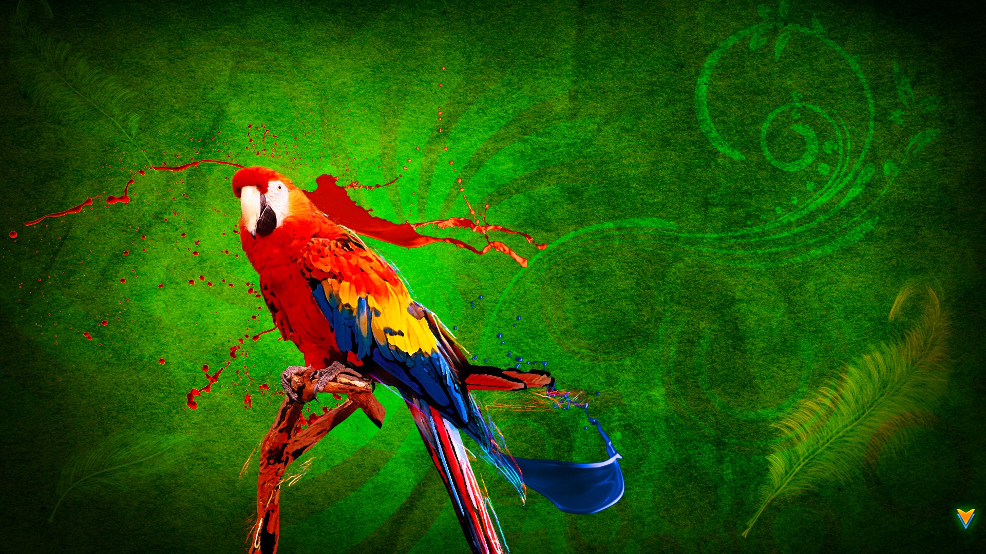 animal, scarlet macaw, birds Full HD