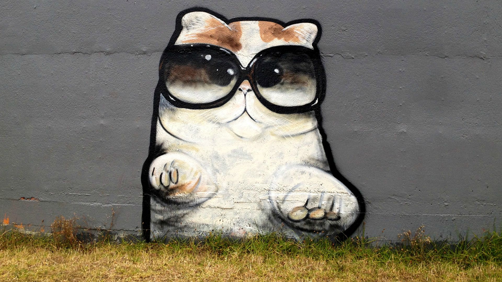 Кот граффити