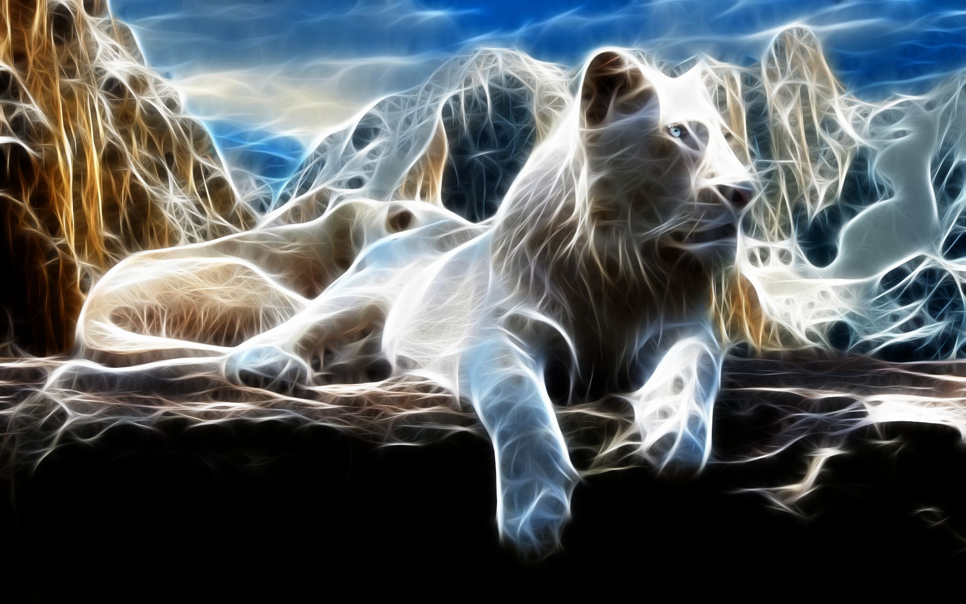 animal, white lion UHD