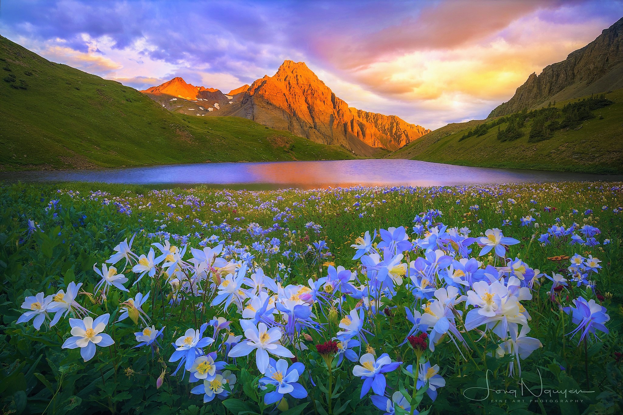 Красивые горы с цветами