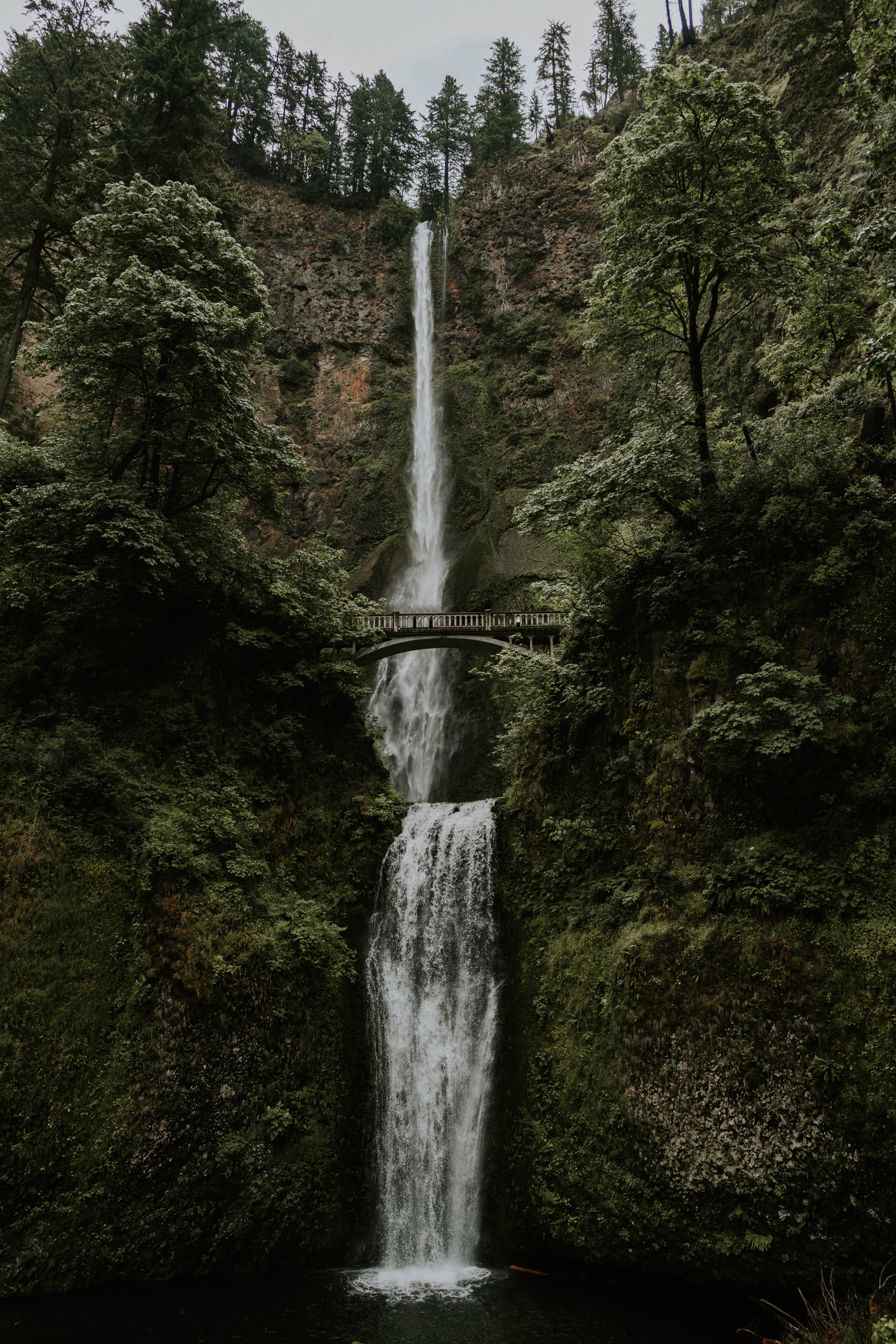 bridge, nature, water, trees, waterfall, break, precipice download HD wallpaper