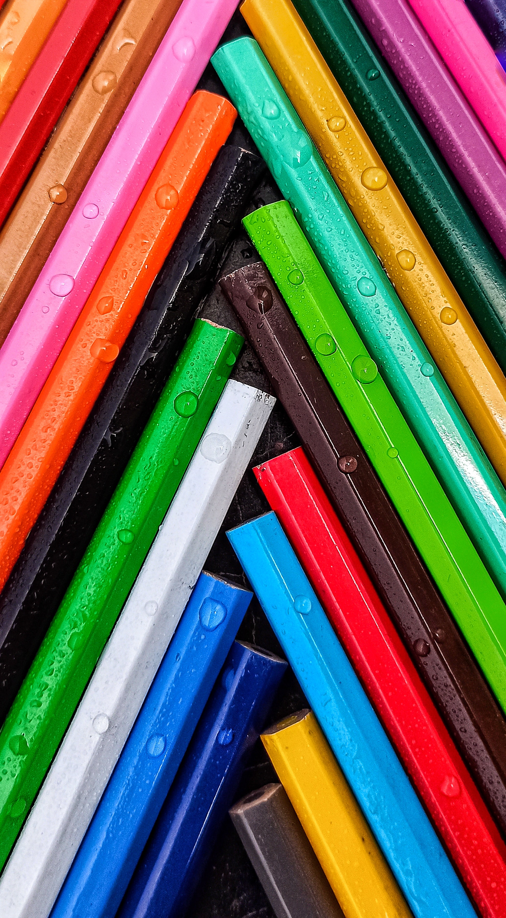 pencils, drops, macro, multicolored, motley, wet