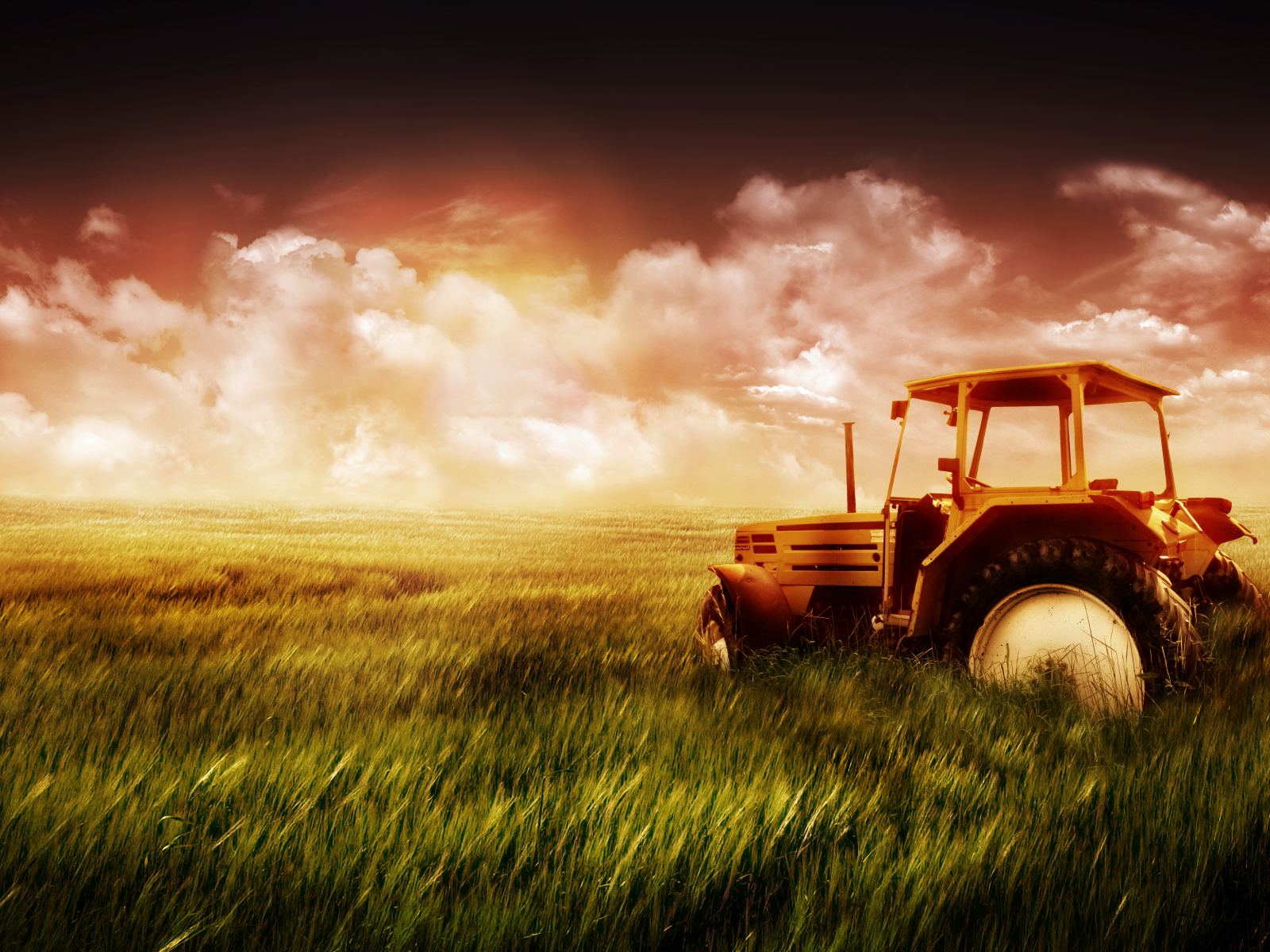 tractor, vehicles Free Stock Photo