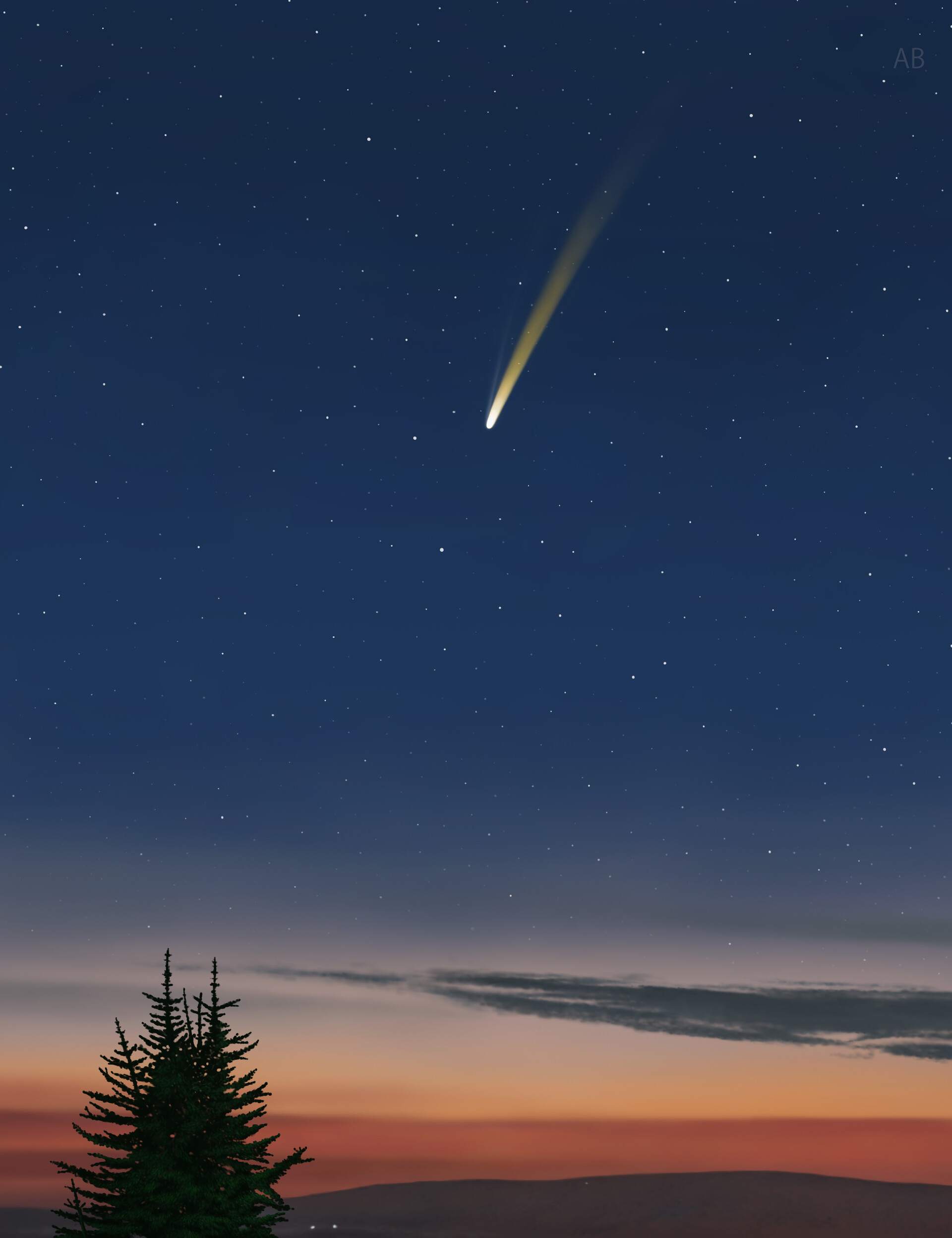 starry sky, stars, art, sunset, spruce, fir, comet Phone Background
