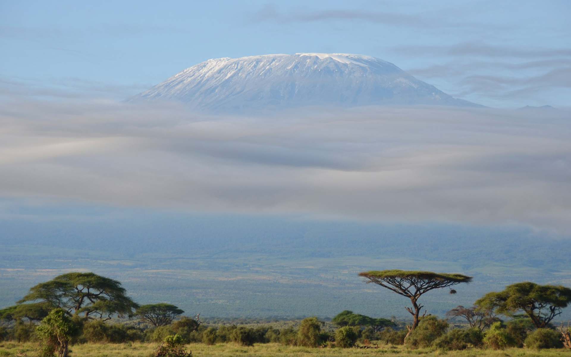 Занзибар гора Килиманджаро