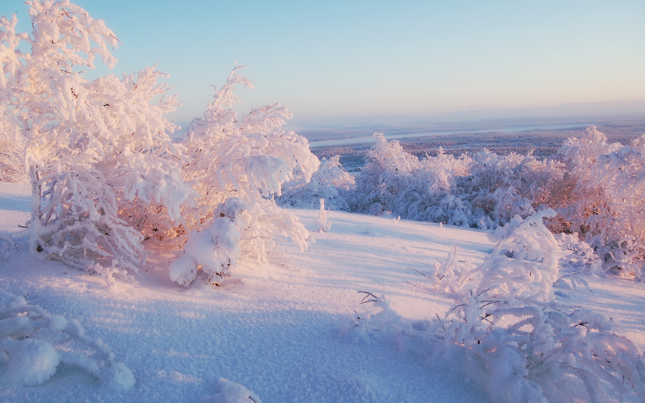 Скачать картинку Снег, Пейзаж, Зима, Природа в телефон бесплатно.