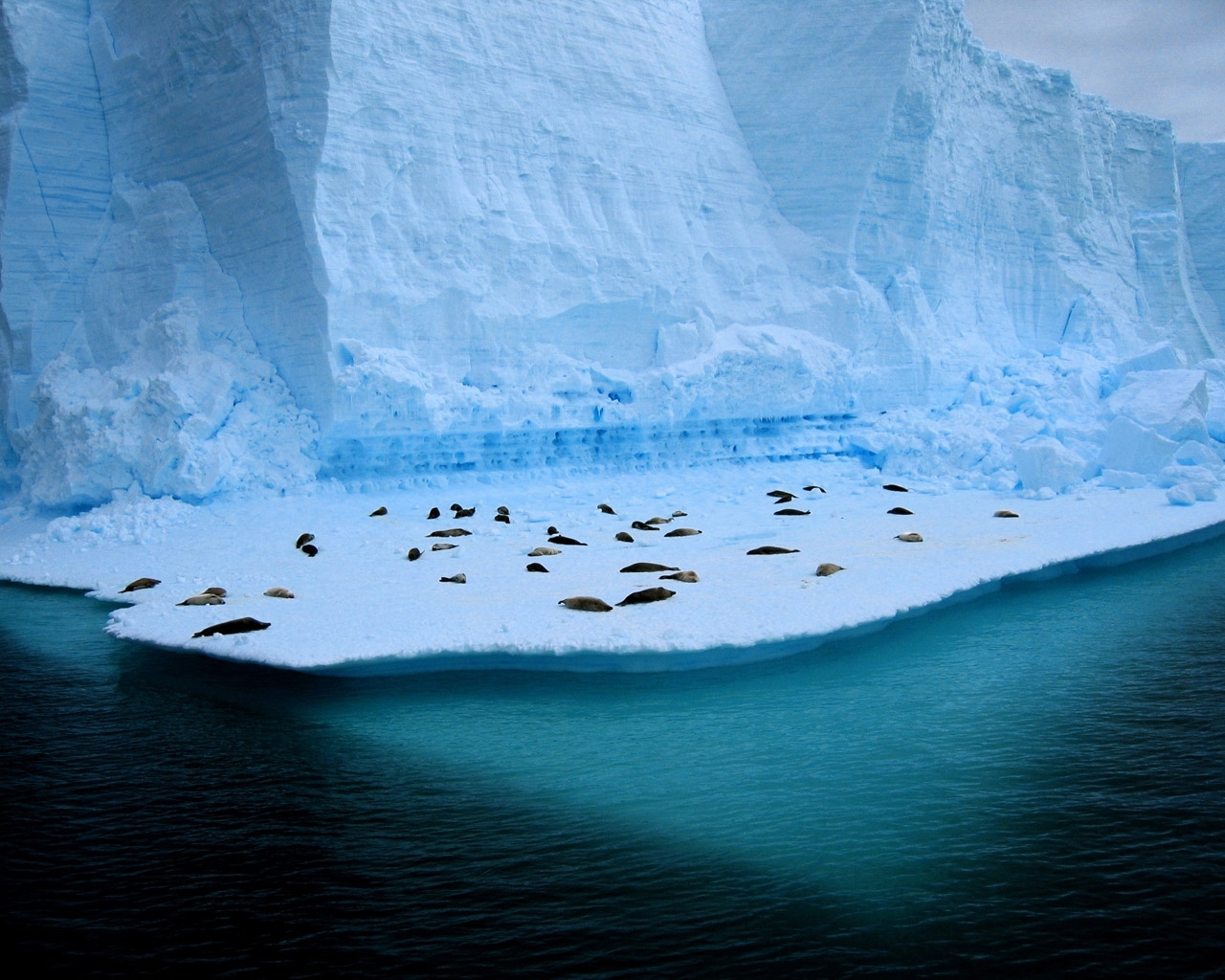 vertical wallpaper landscape, winter, antarctica arctic, blue