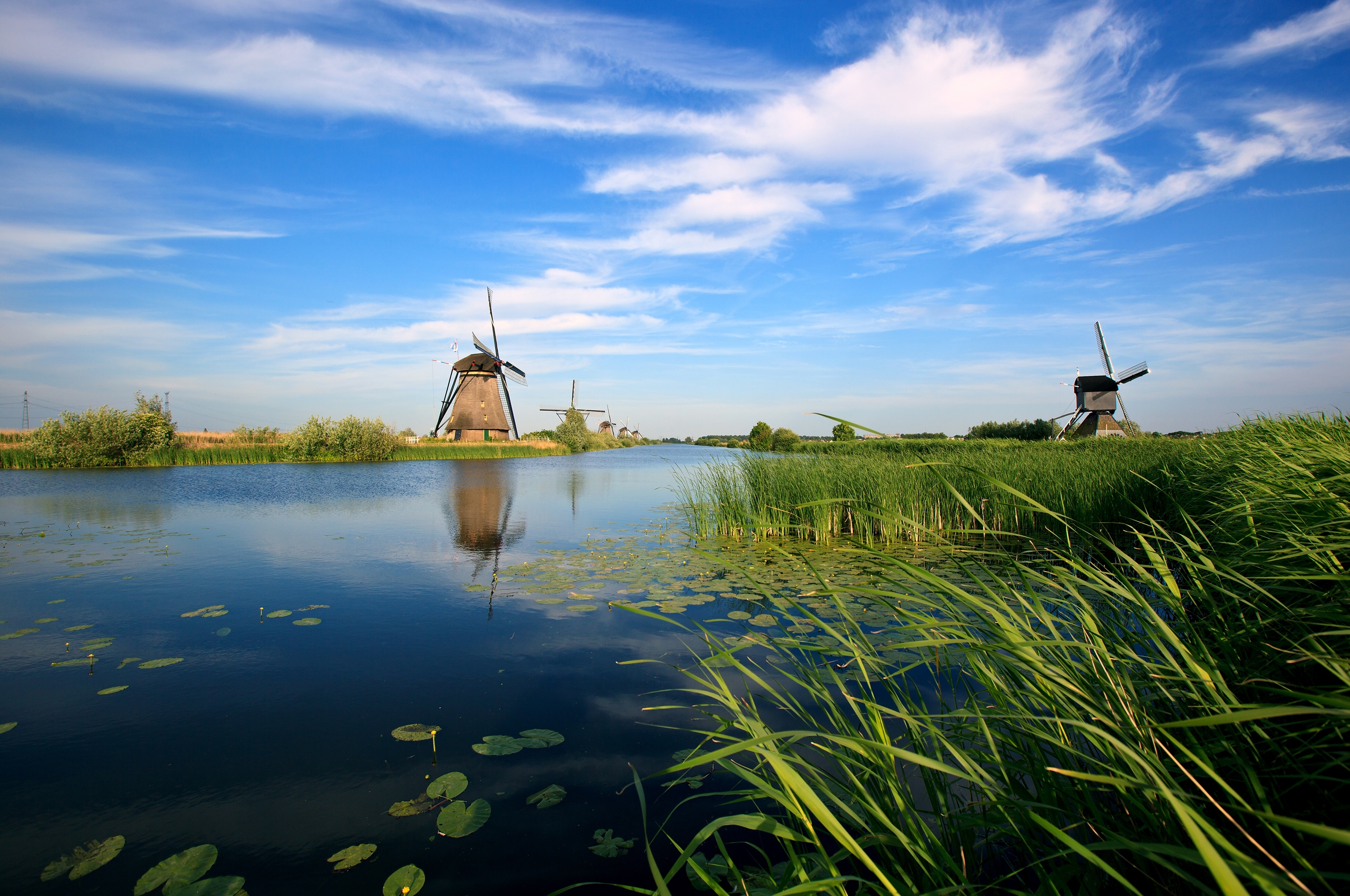 151370 Hintergrundbild herunterladen flüsse, holland, natur, vegetation, schilf, mühle, mühlen - Bildschirmschoner und Bilder kostenlos