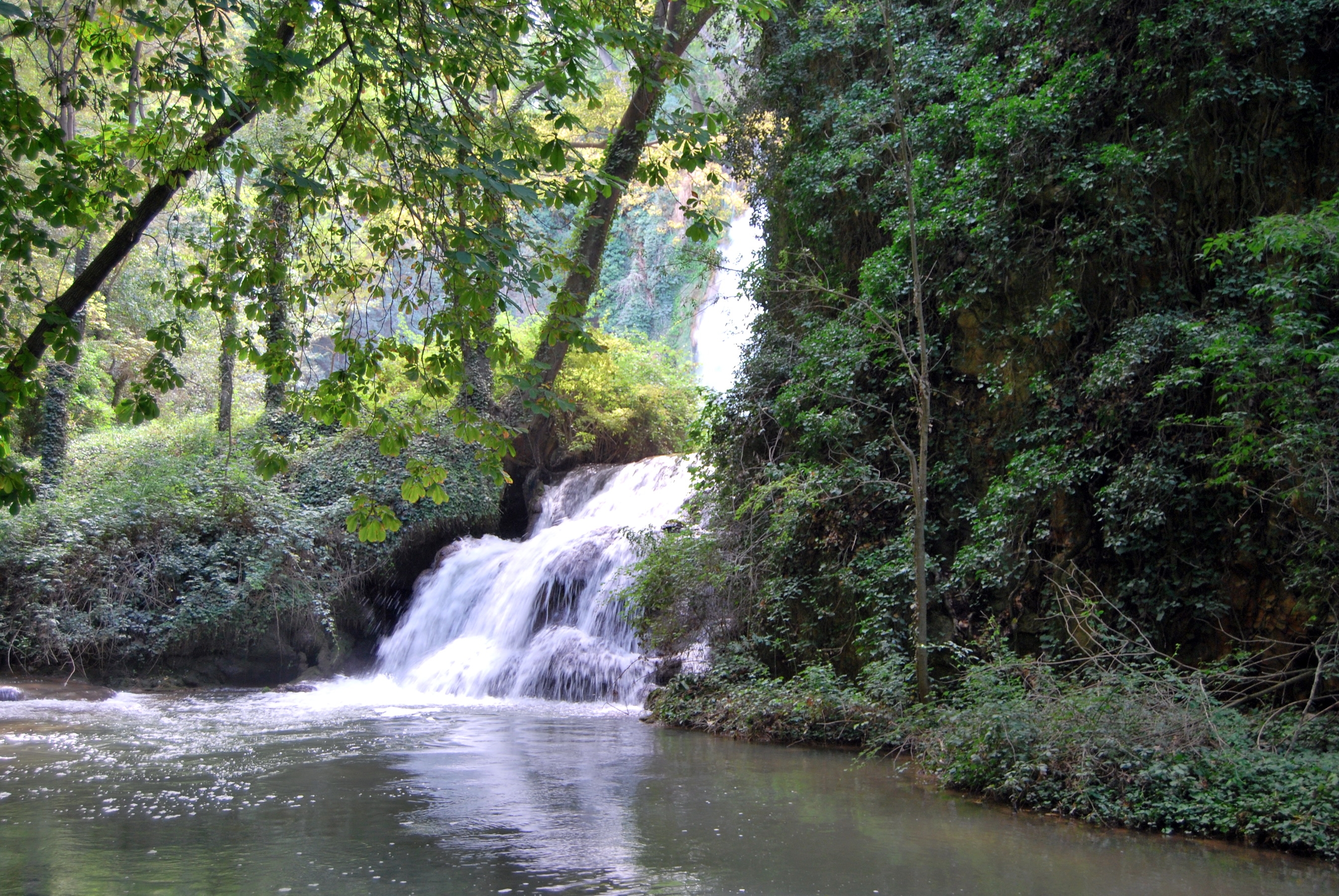 Скачать картинку Арагон Нуэвалос, Деревья, Испания, Лес, Водопад, Природа в телефон бесплатно.