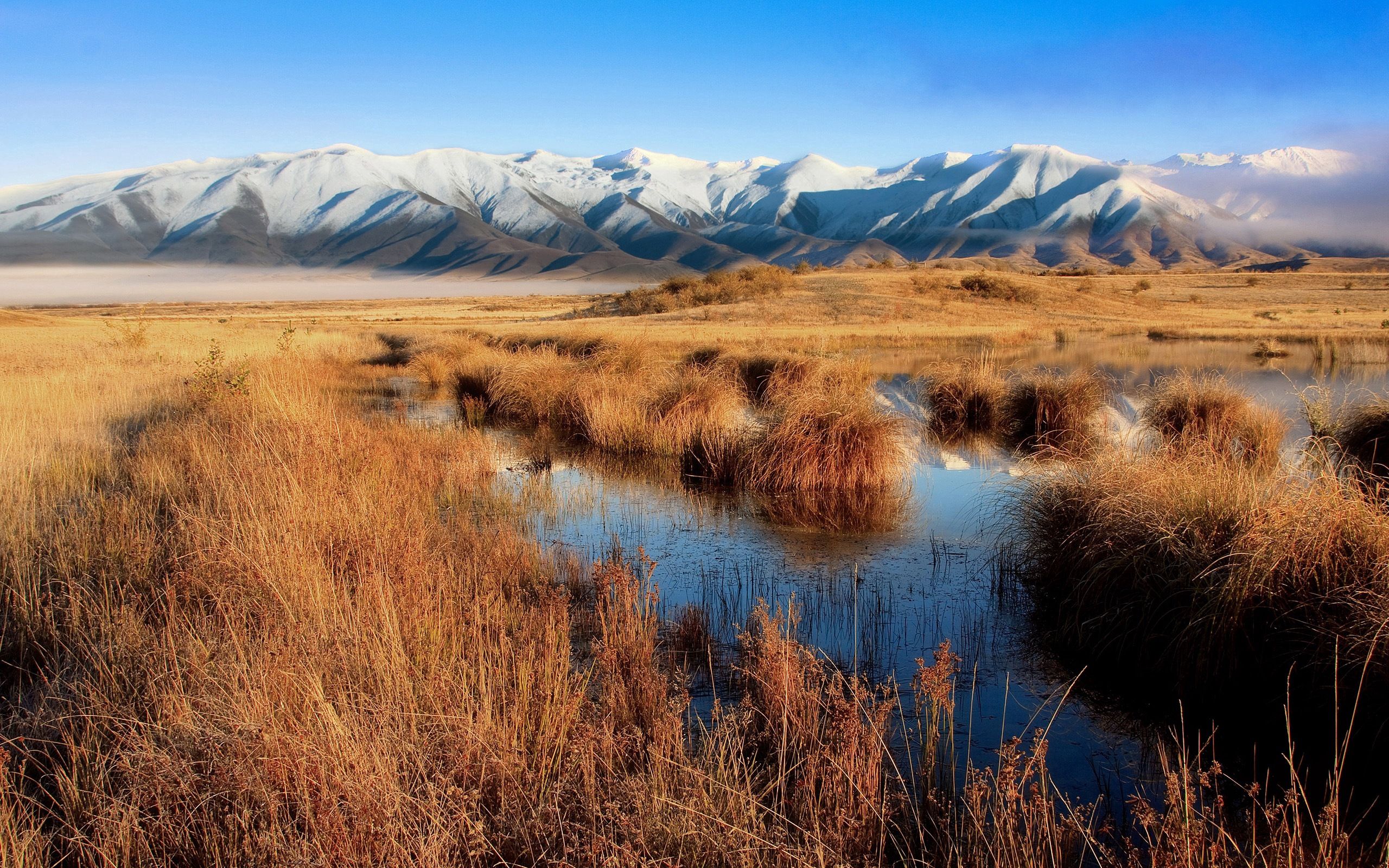 Laden Sie das Natur, Swamp, Grass, Wasser, Mountains, Herbst-Bild kostenlos auf Ihren PC-Desktop herunter